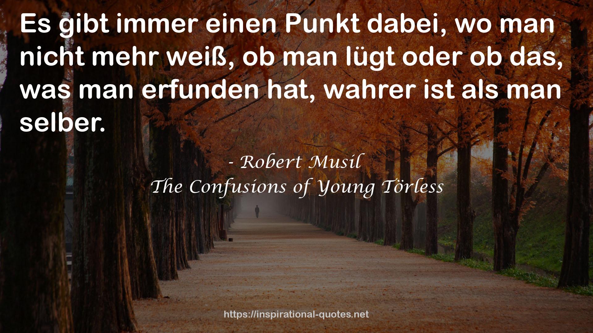 The Confusions of Young Törless QUOTES