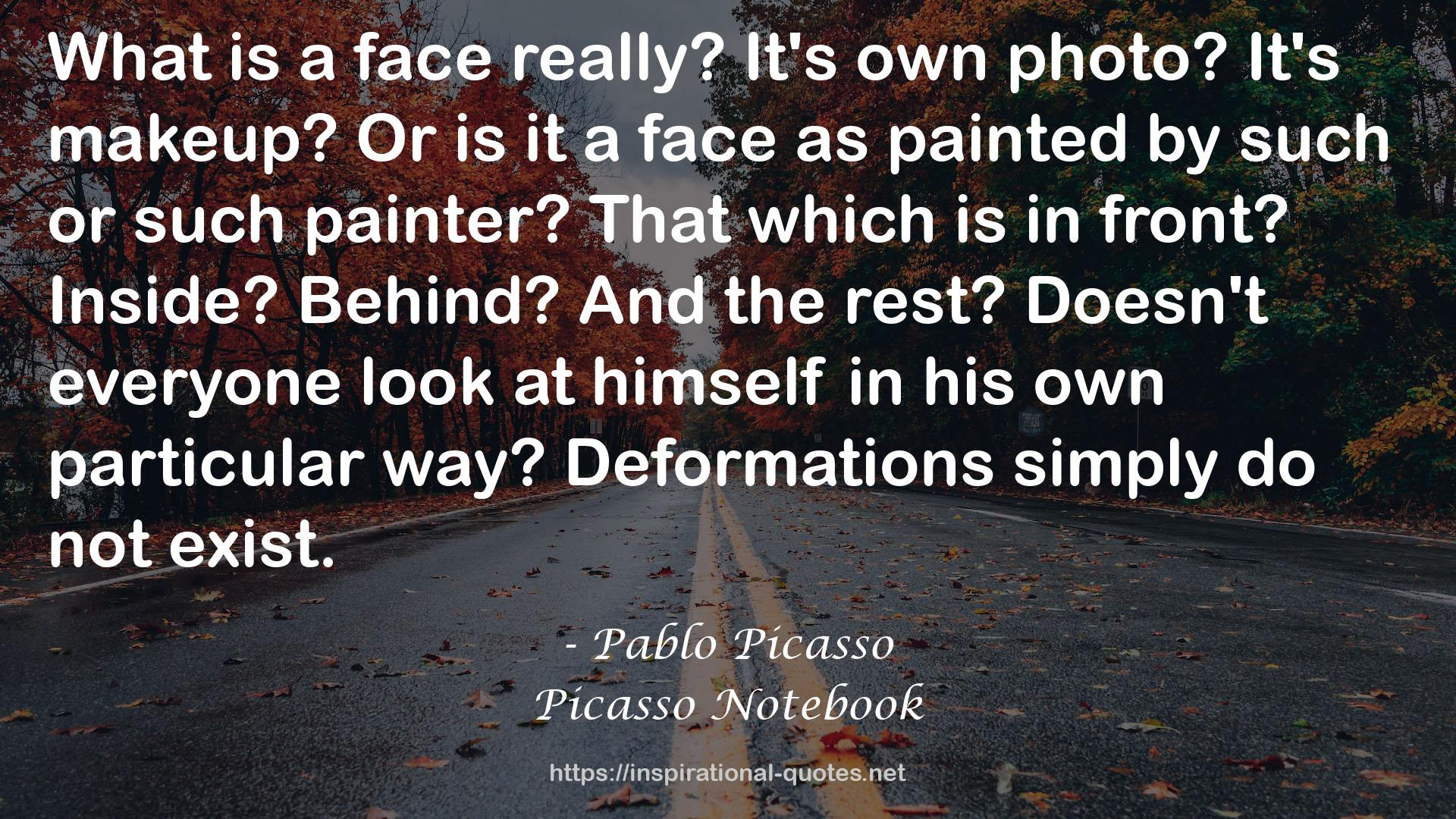 Picasso Notebook QUOTES