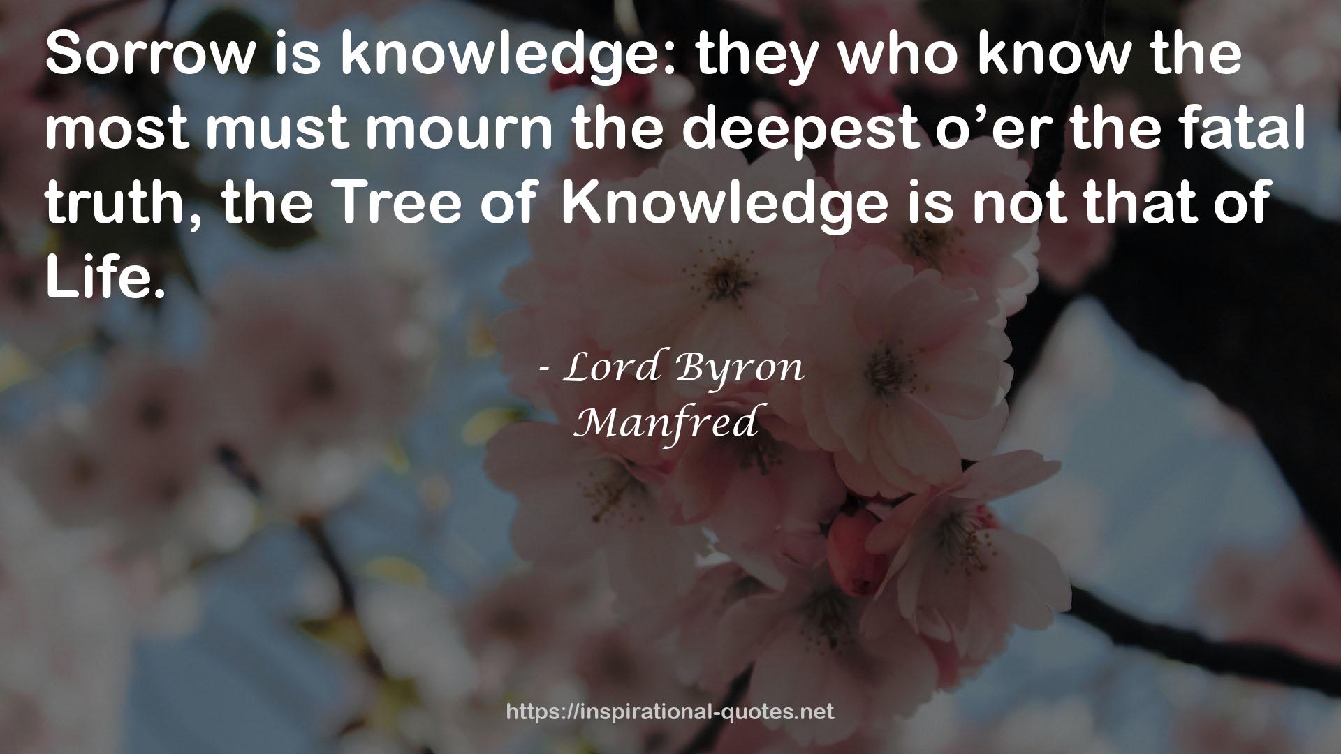 the Tree of Knowledge  QUOTES