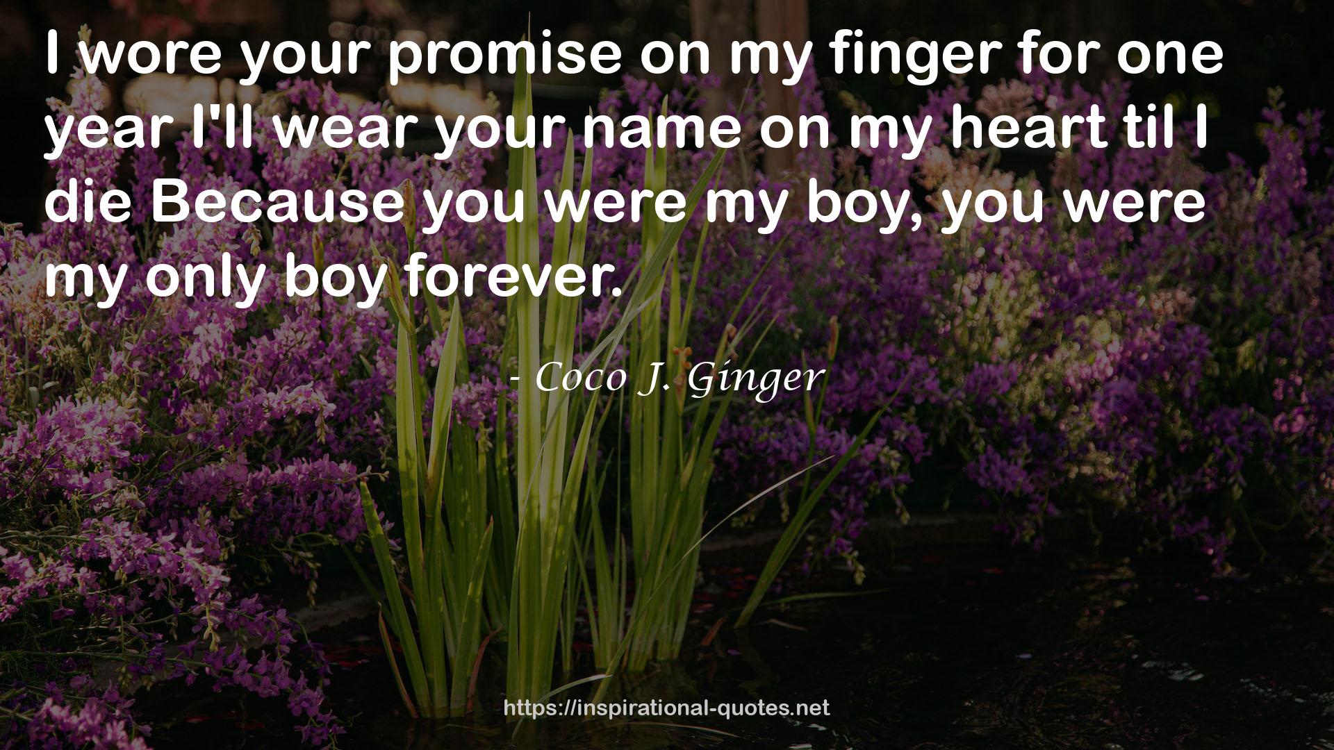 your promise  QUOTES