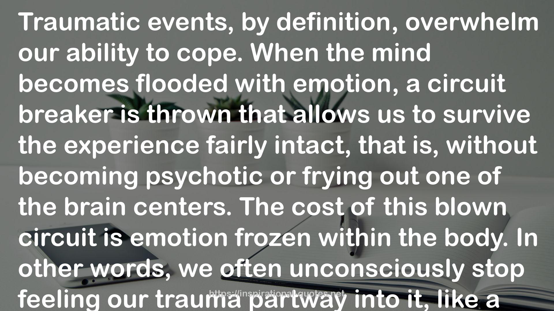 The Trauma Tool Kit: Healing PTSD from the Inside Out QUOTES