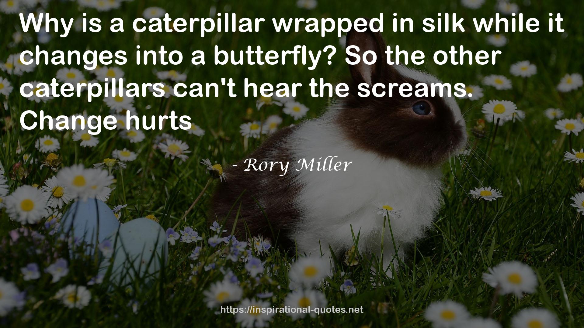 Rory Miller QUOTES