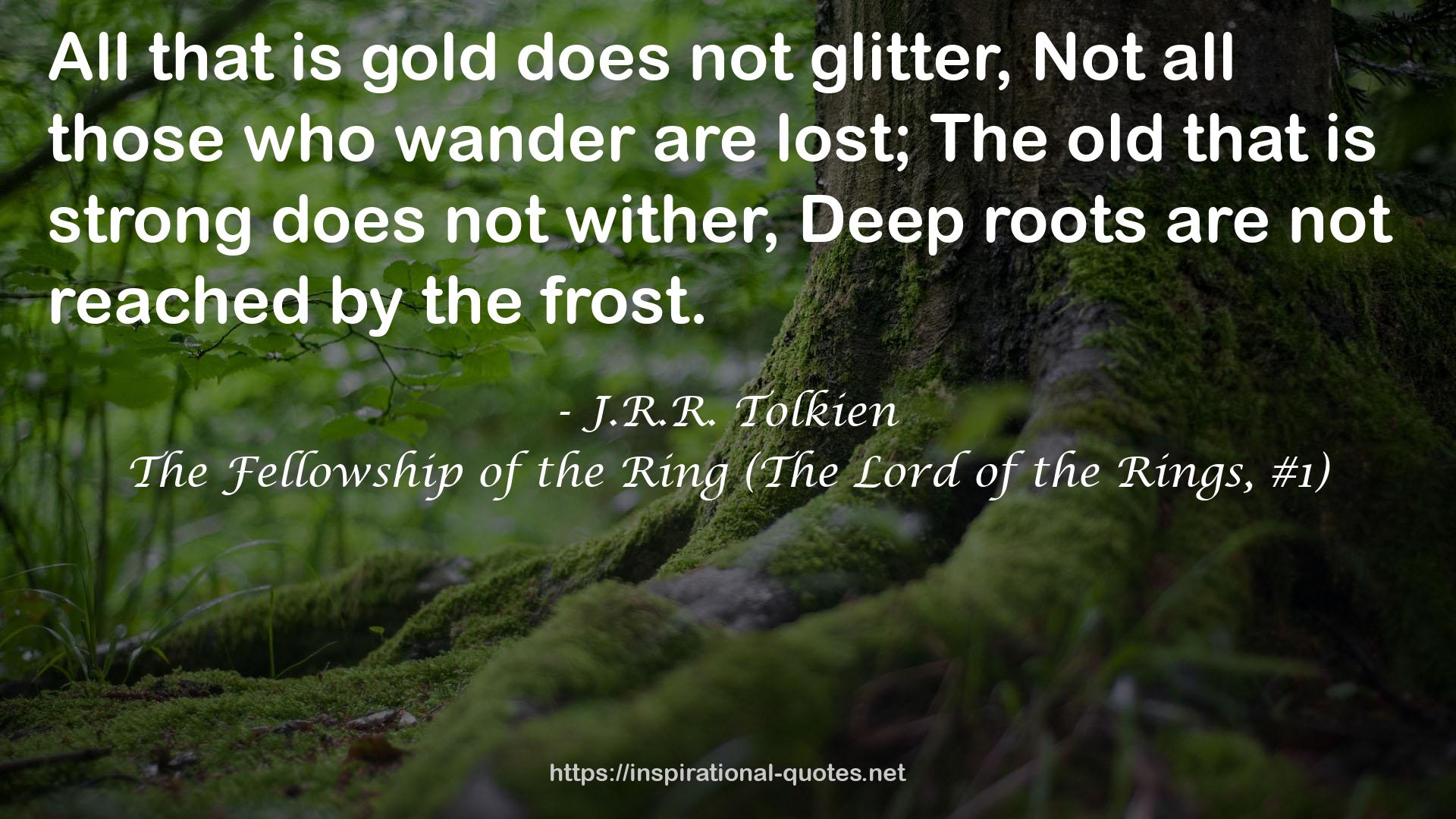 The Fellowship of the Ring (The Lord of the Rings, #1) QUOTES