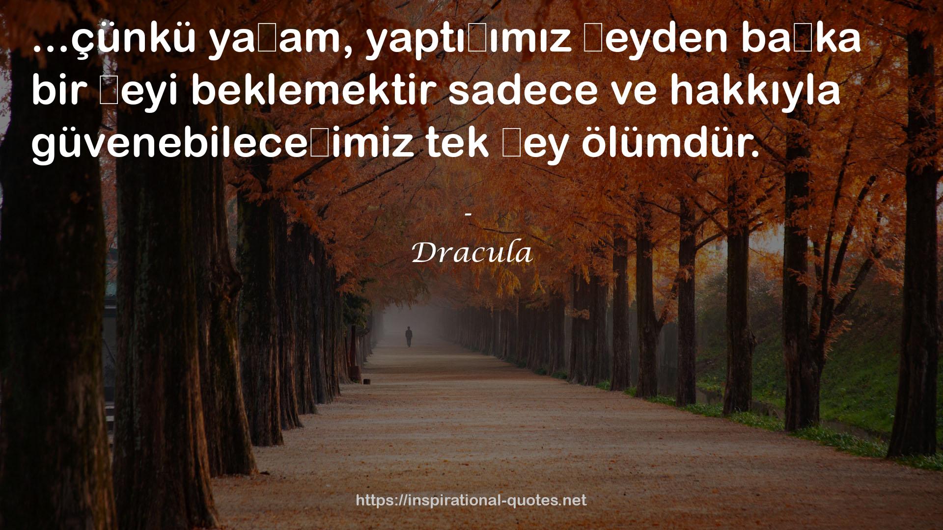 Dracula QUOTES