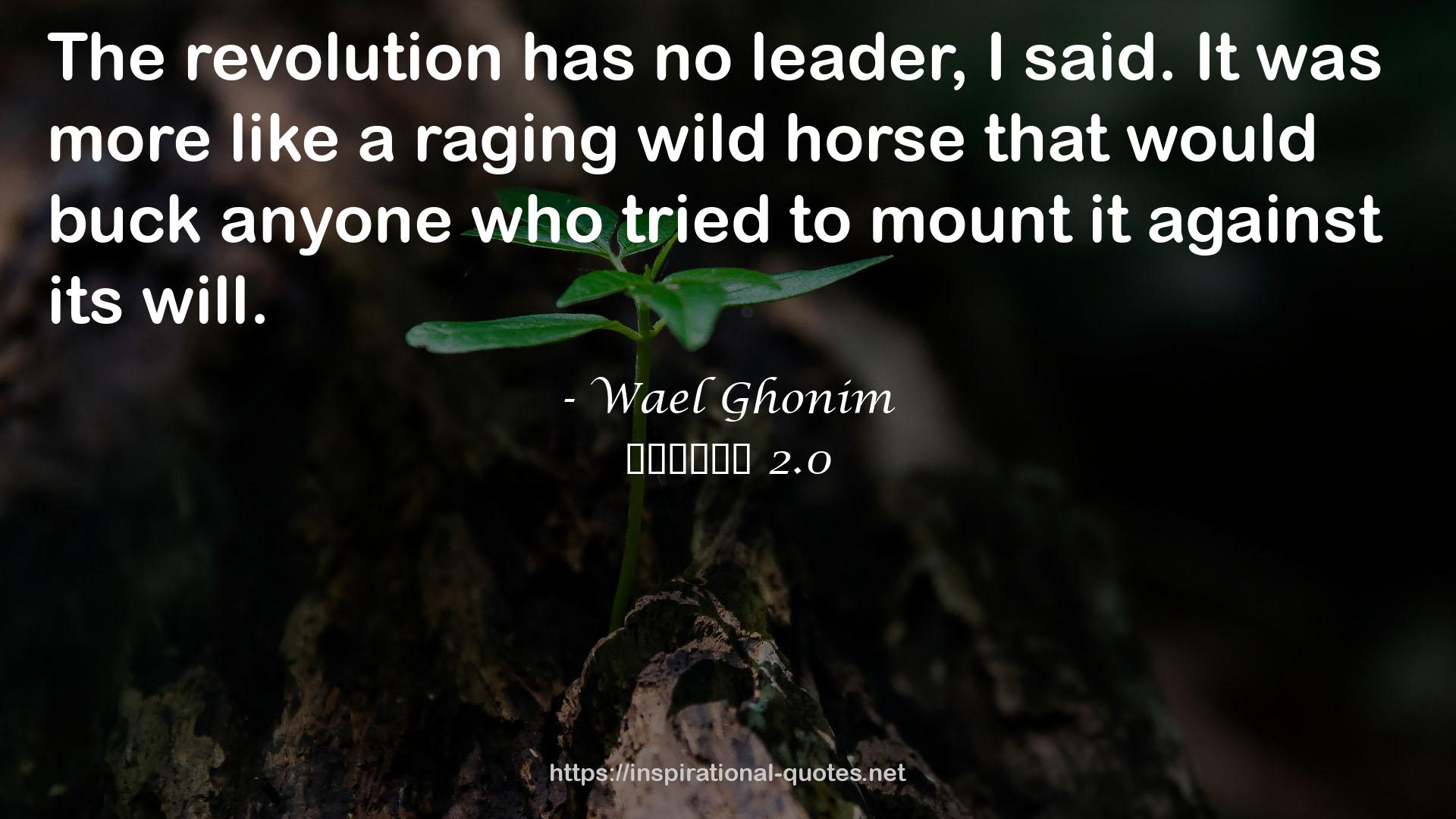a raging wild horse  QUOTES