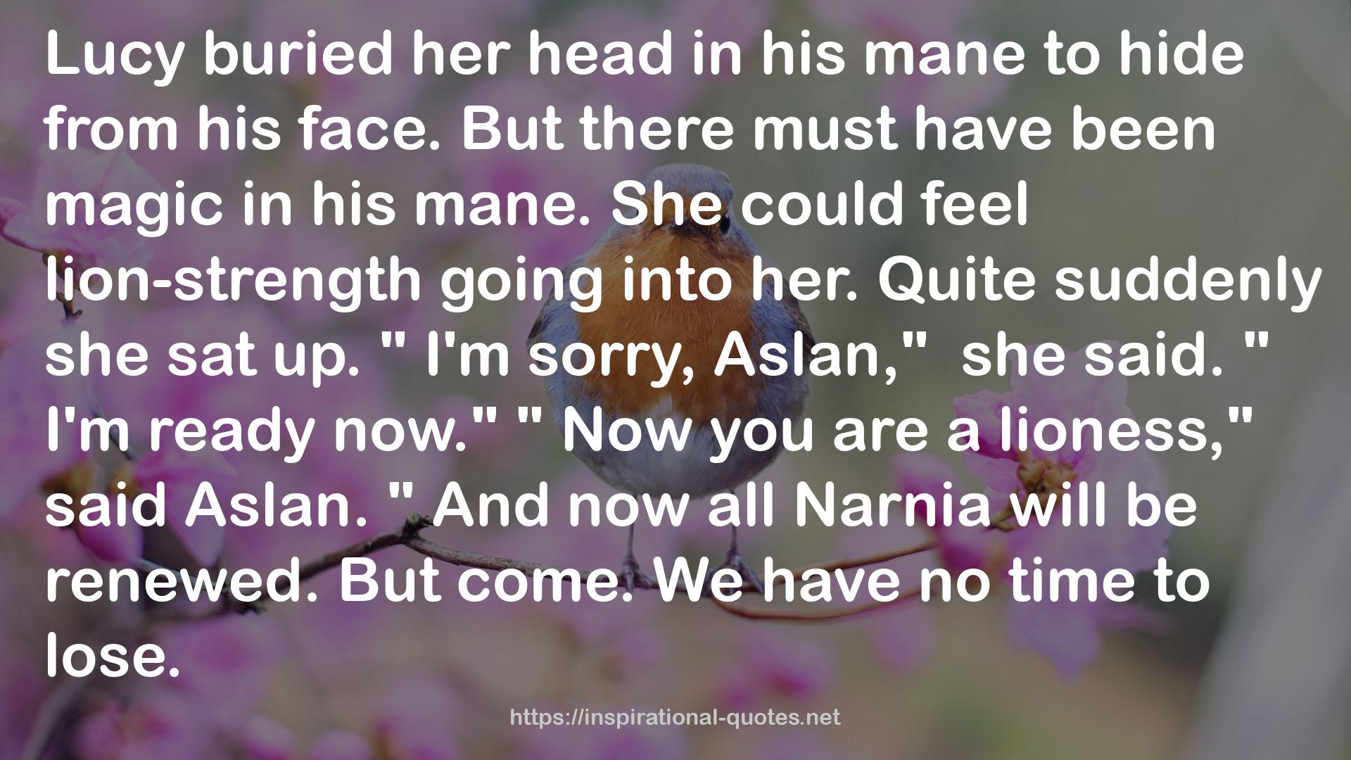 all Narnia  QUOTES