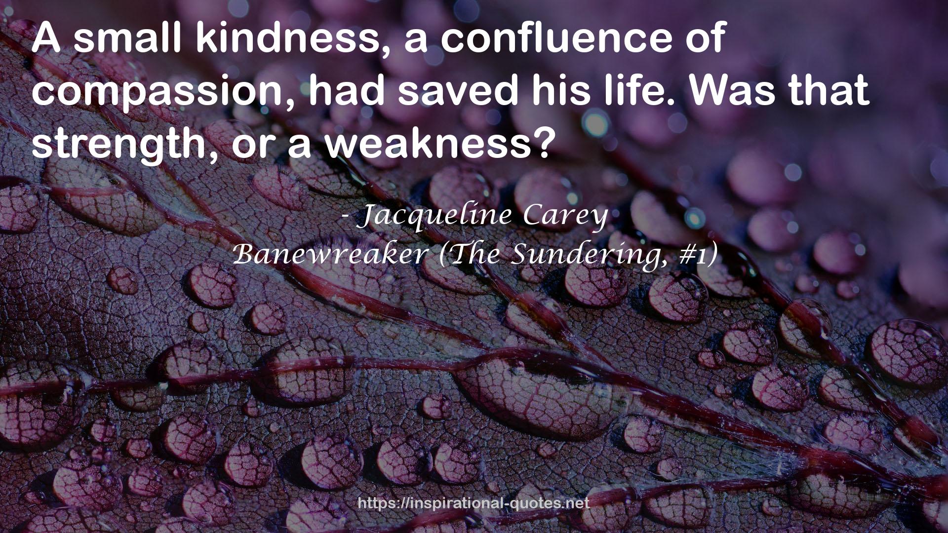 Banewreaker (The Sundering, #1) QUOTES