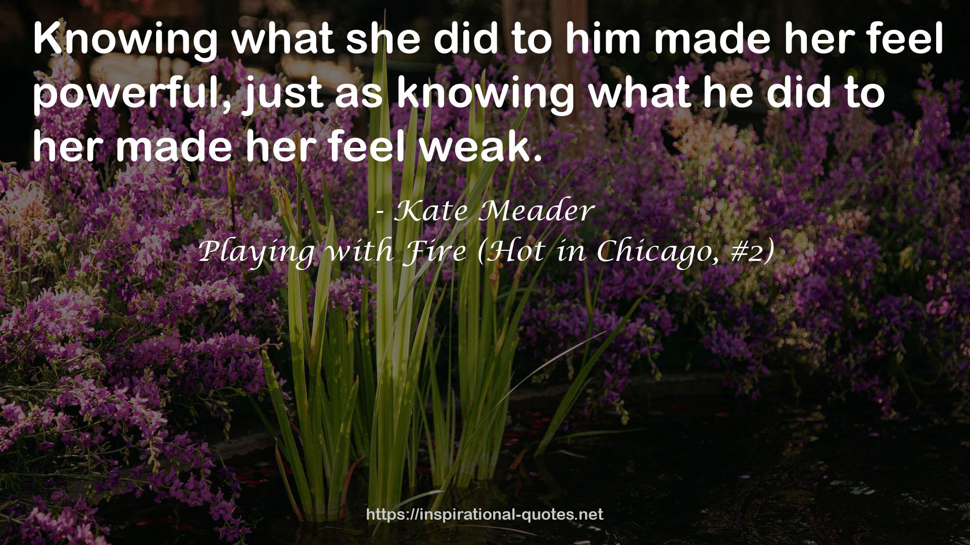 Playing with Fire (Hot in Chicago, #2) QUOTES