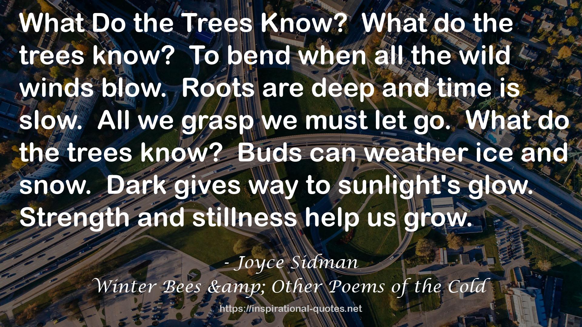 Joyce Sidman QUOTES