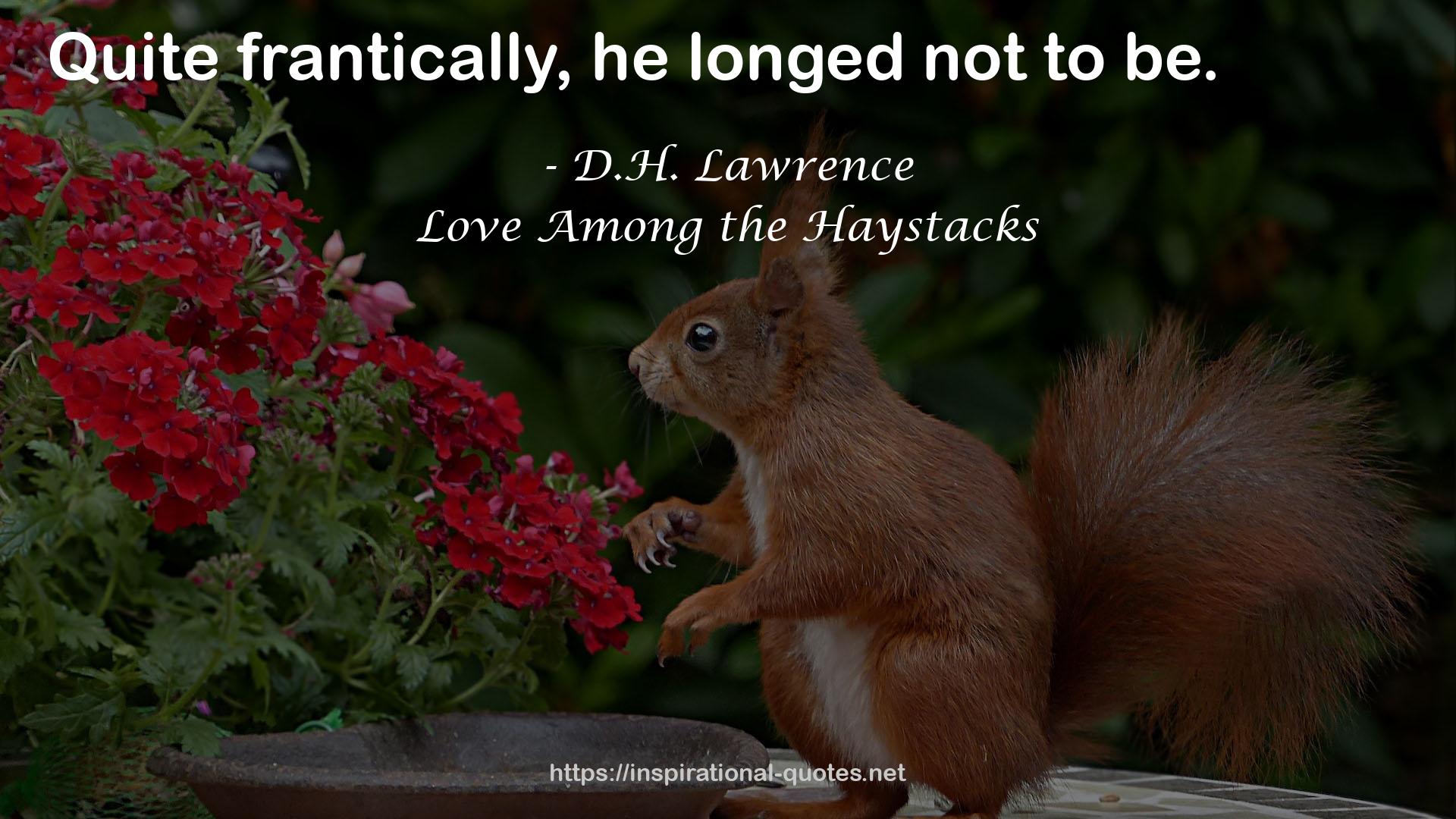 Love Among the Haystacks QUOTES