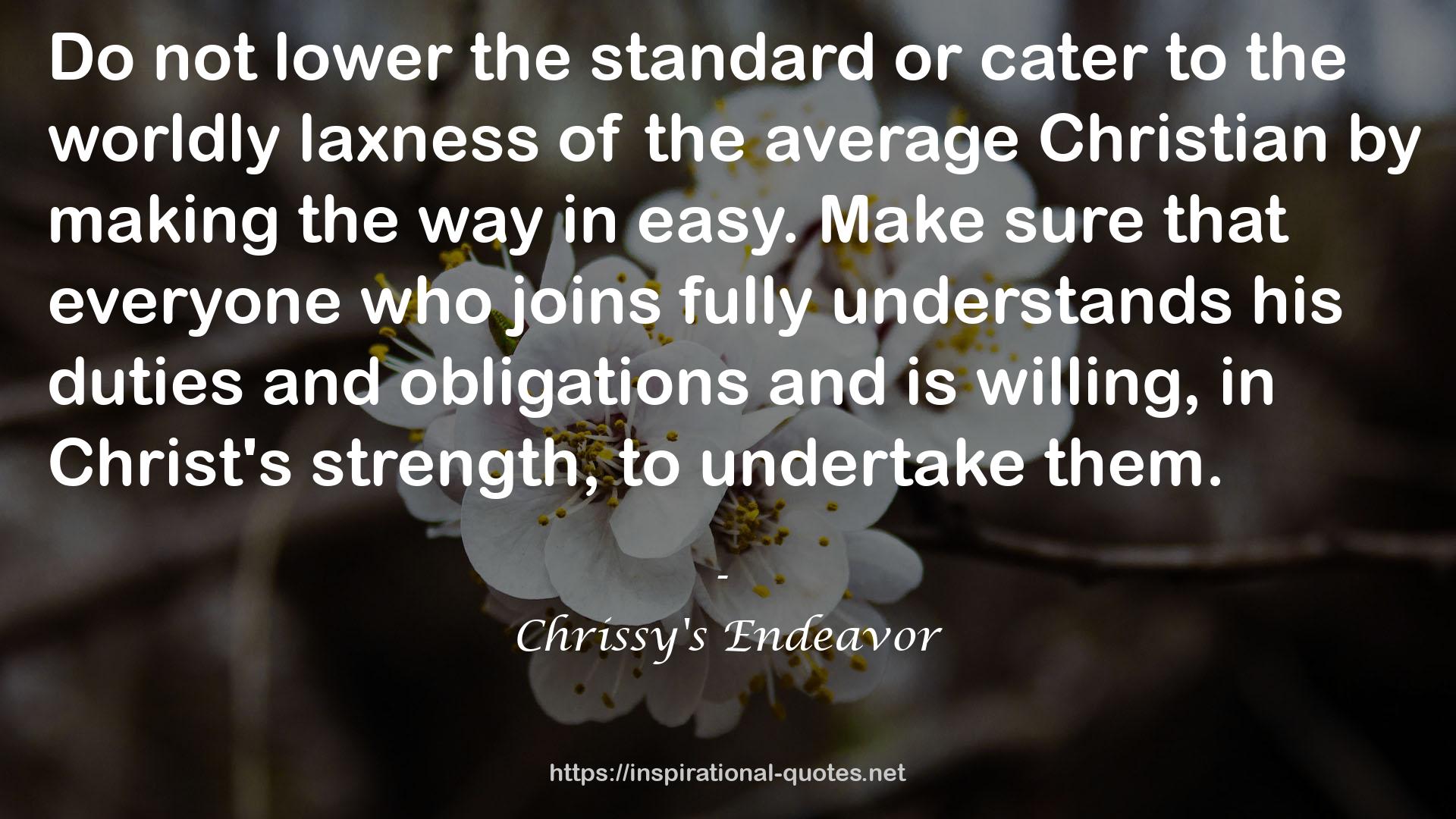 Chrissy's Endeavor QUOTES