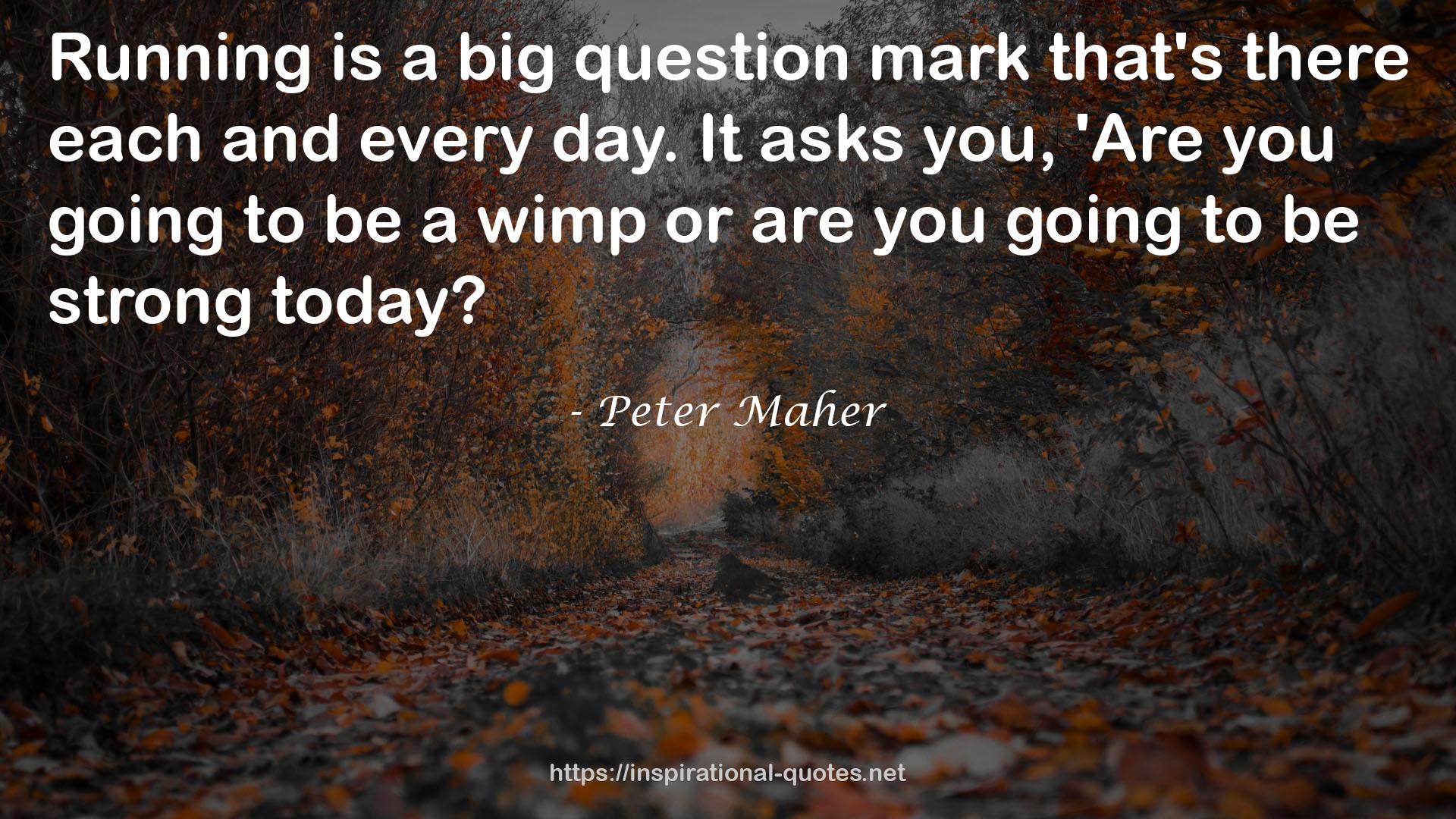 Peter Maher QUOTES