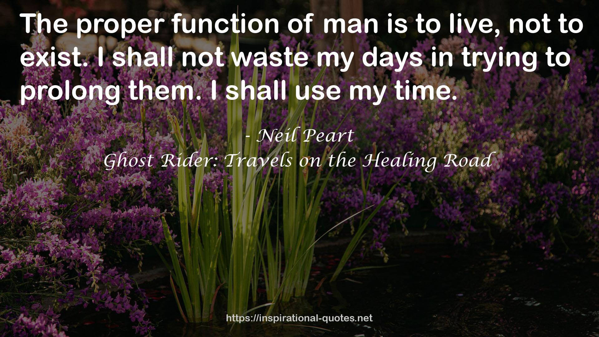 Ghost Rider: Travels on the Healing Road QUOTES