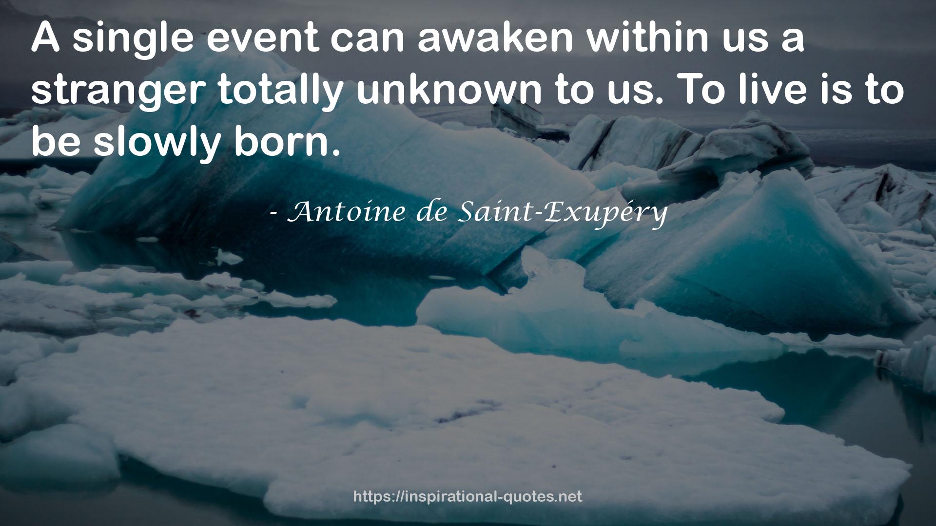 Antoine de Saint-Exupéry QUOTES