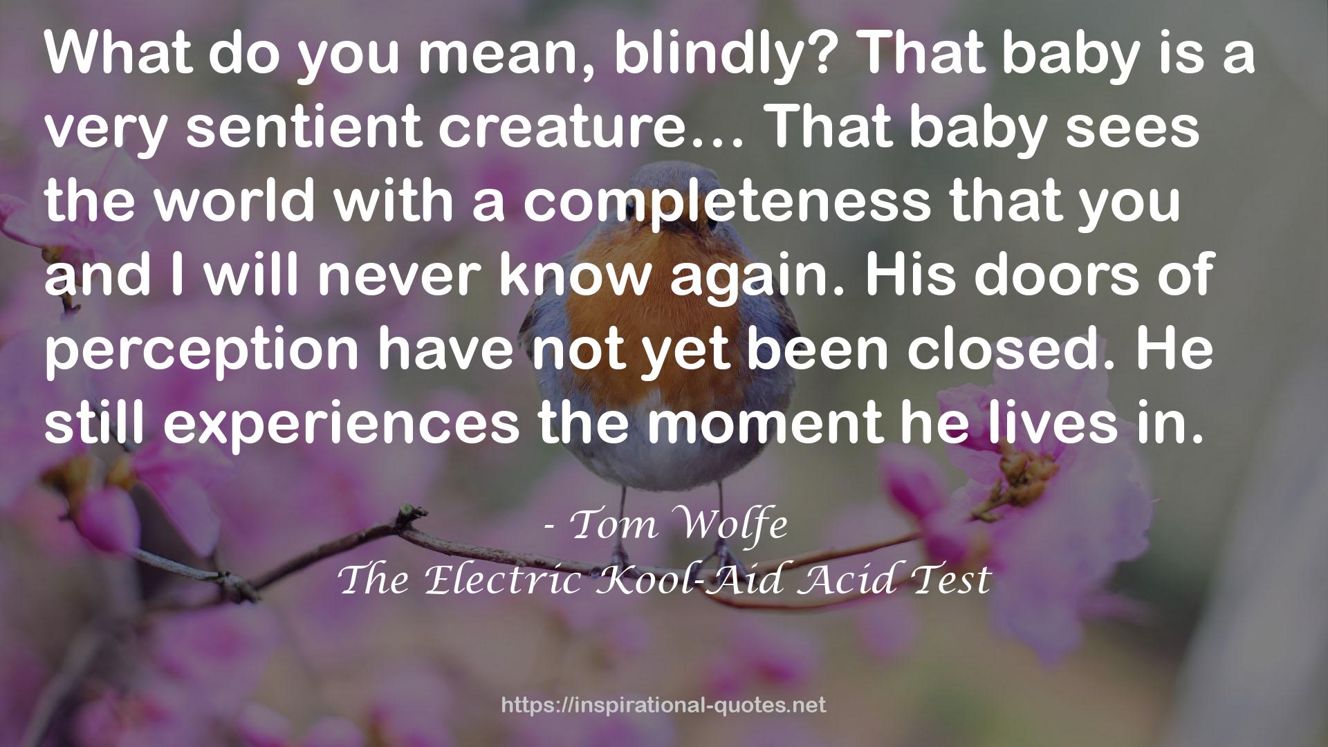 The Electric Kool-Aid Acid Test QUOTES