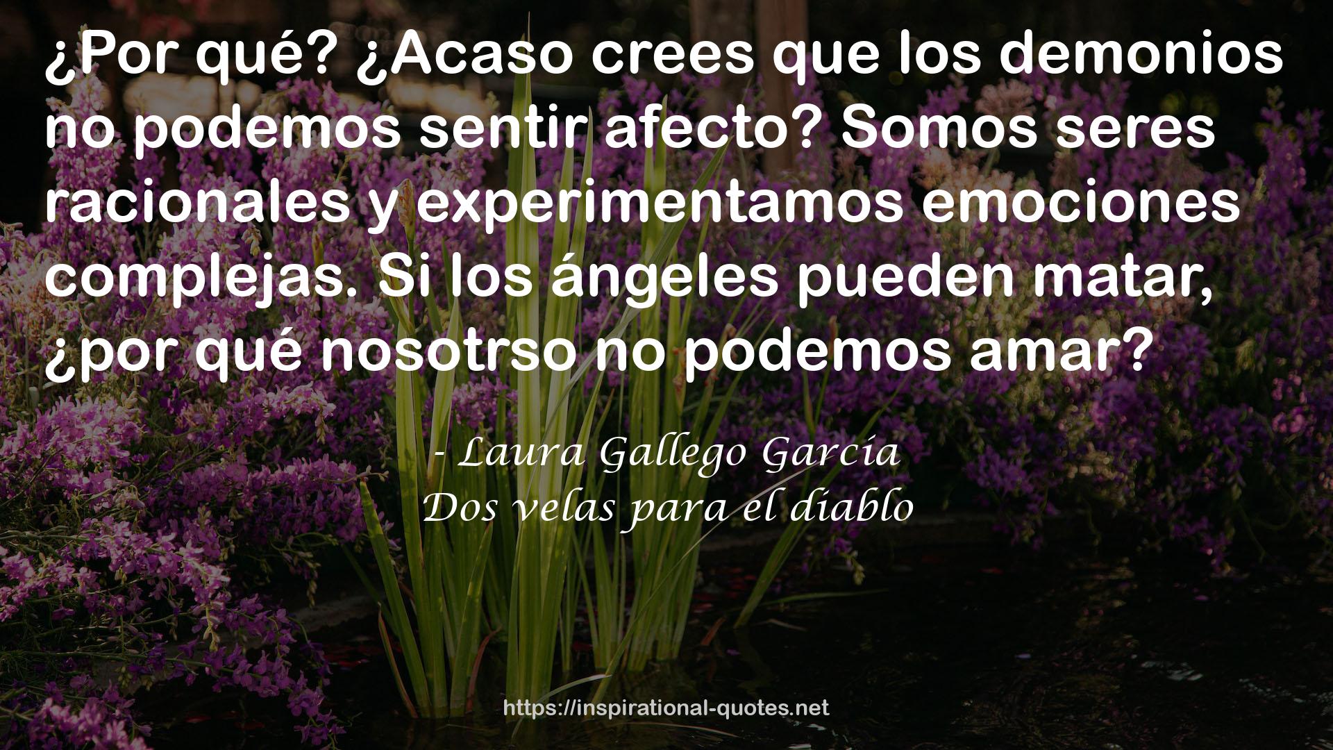 Laura Gallego García QUOTES
