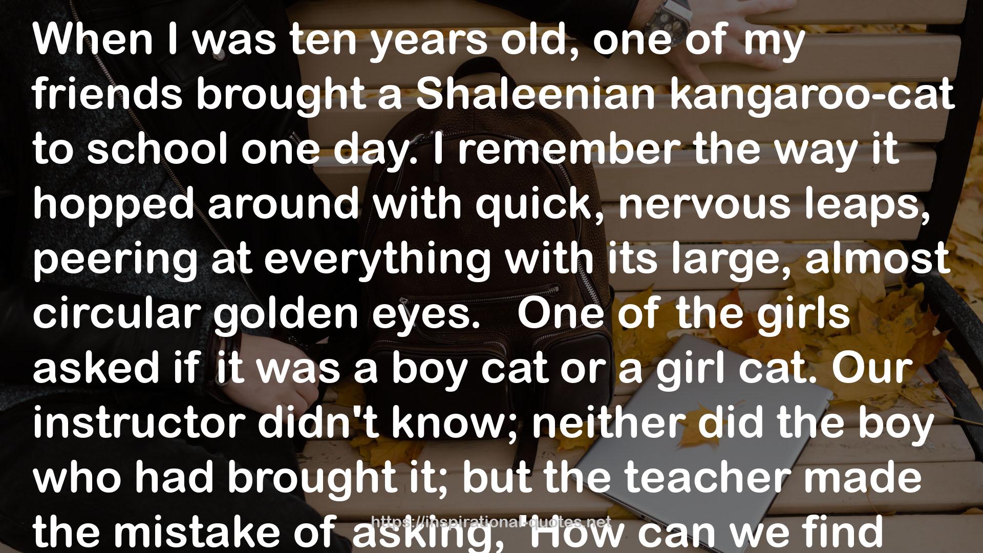 Shaleenian kangaroo-cat  QUOTES
