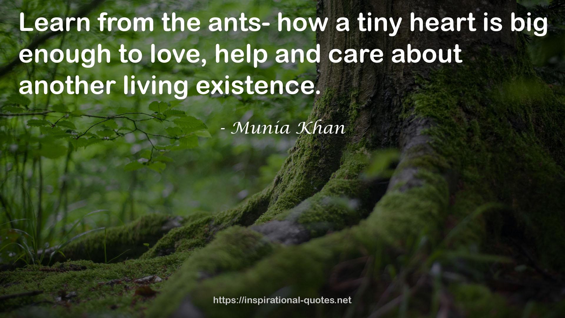 ants-  QUOTES