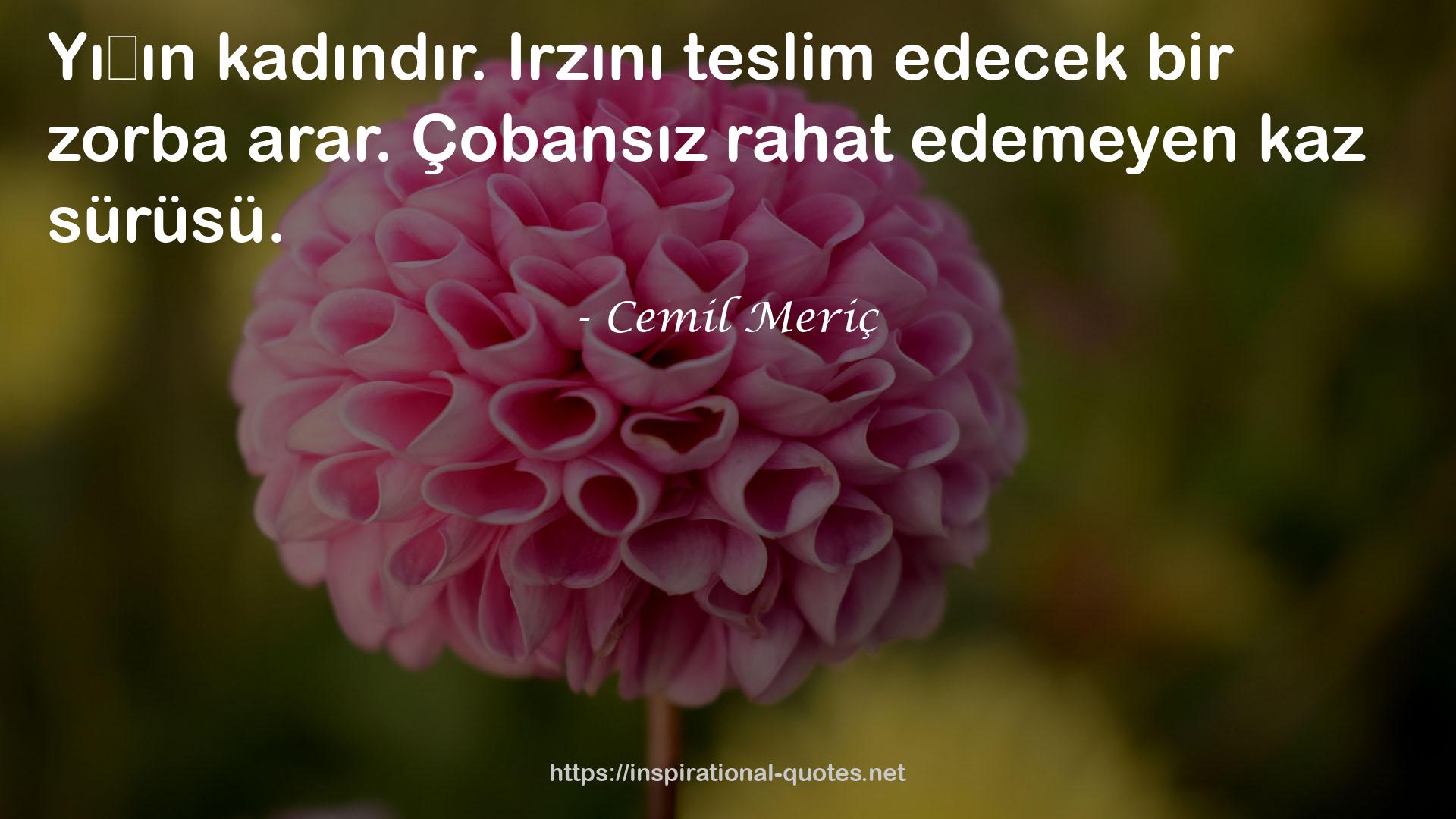 Irzını  QUOTES