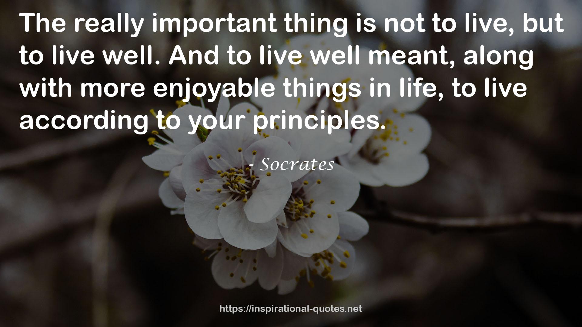 Socrates QUOTES