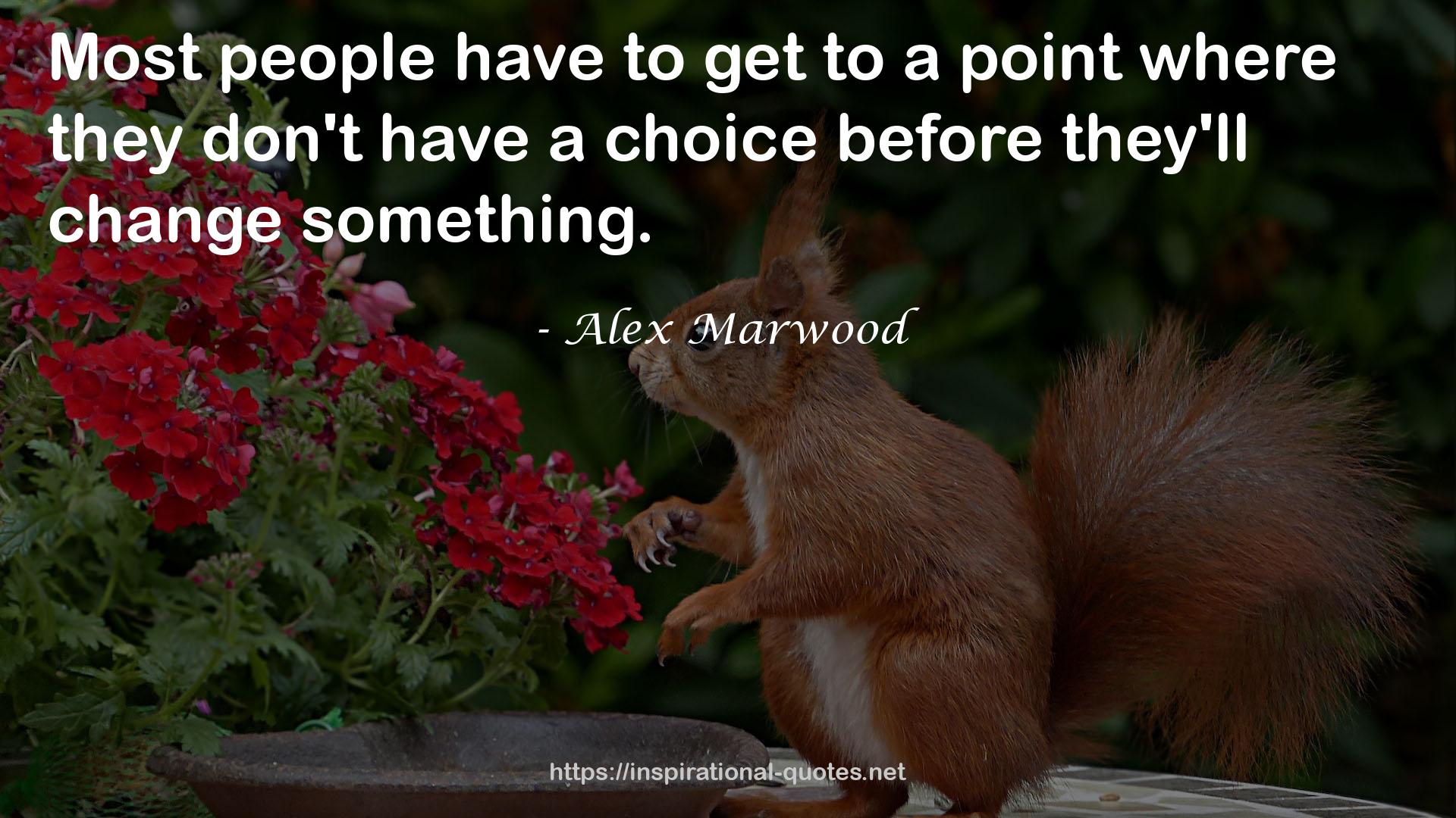 Alex Marwood QUOTES