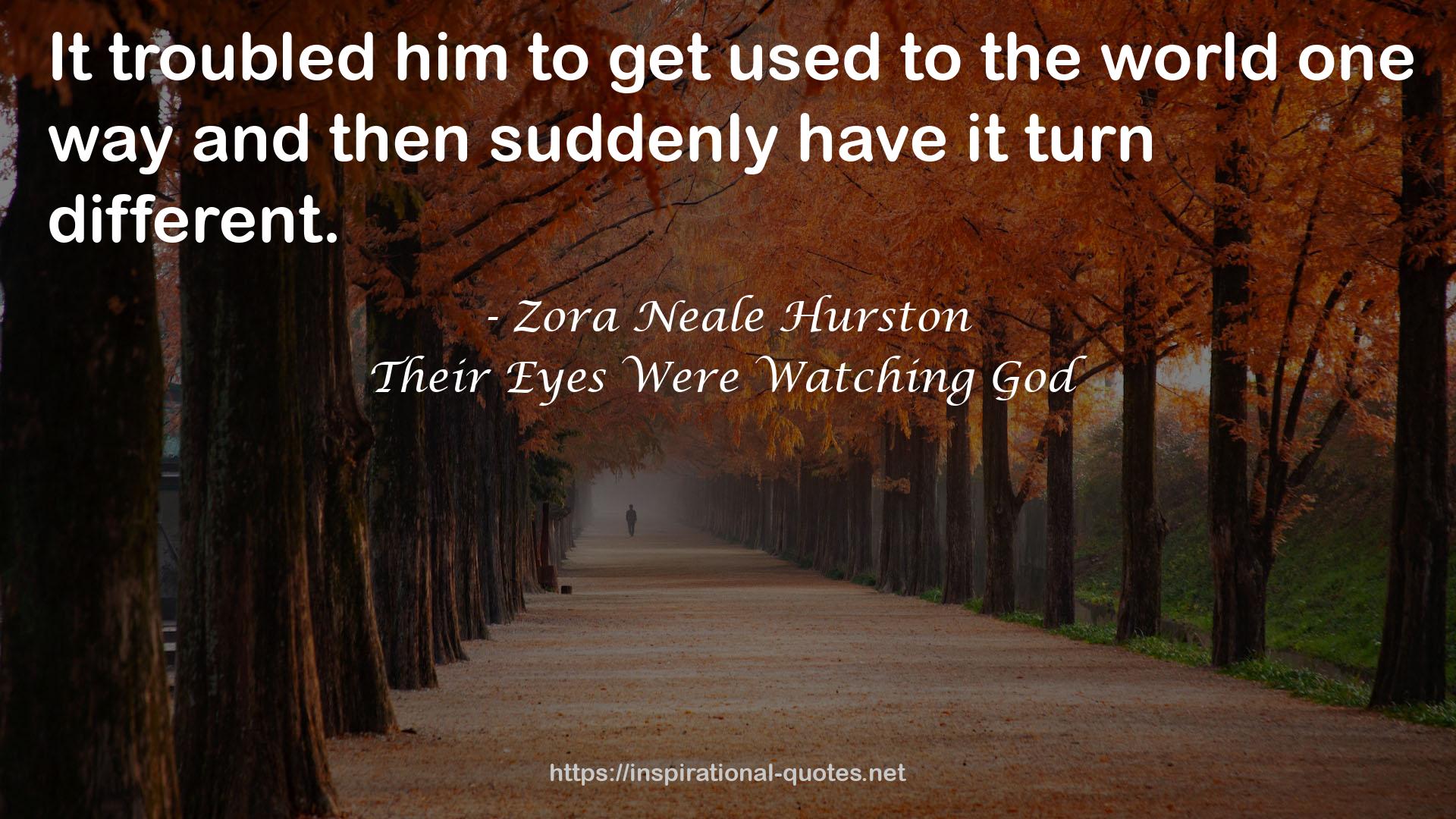 Their Eyes Were Watching God QUOTES