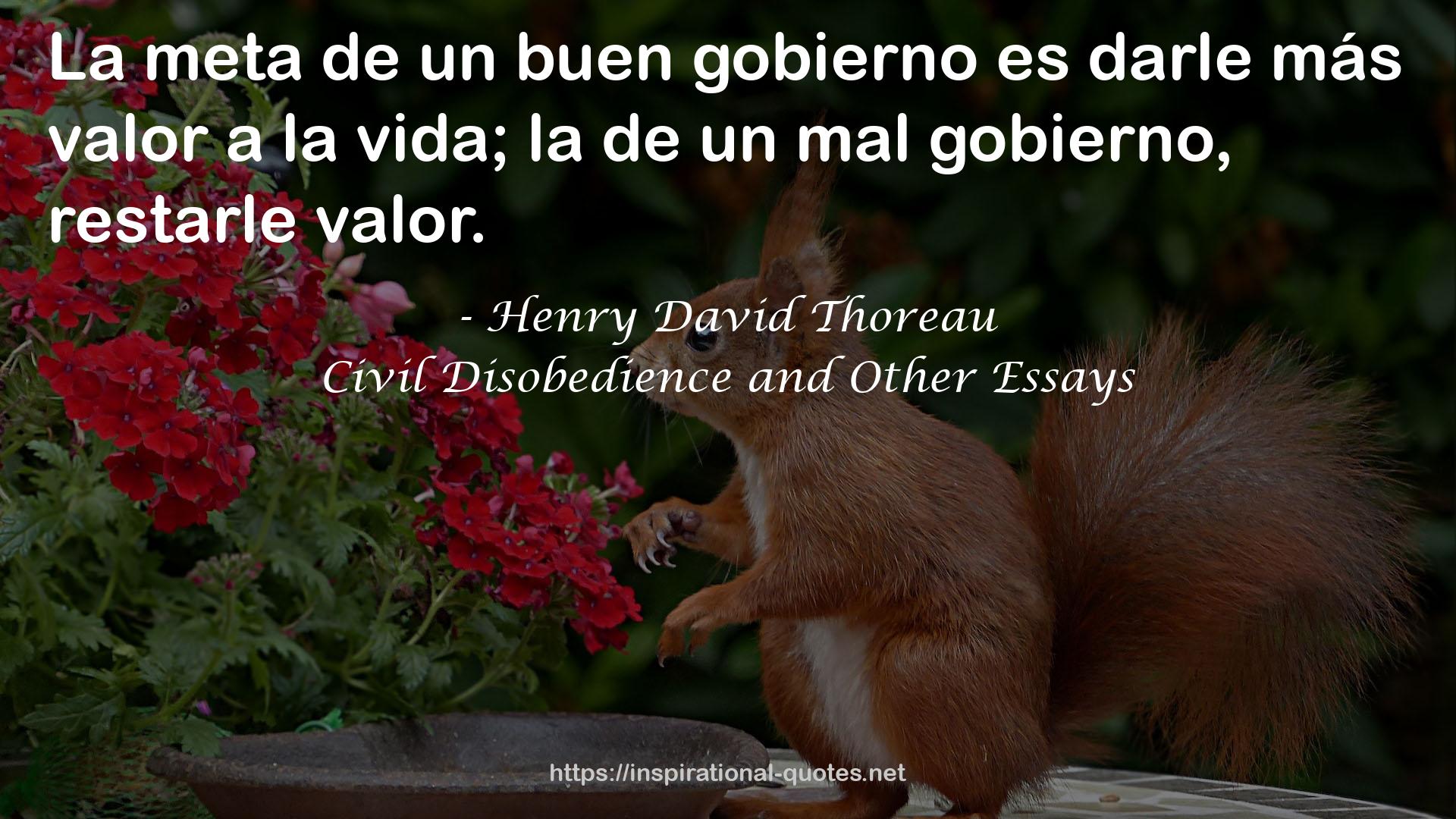 Civil Disobedience and Other Essays QUOTES