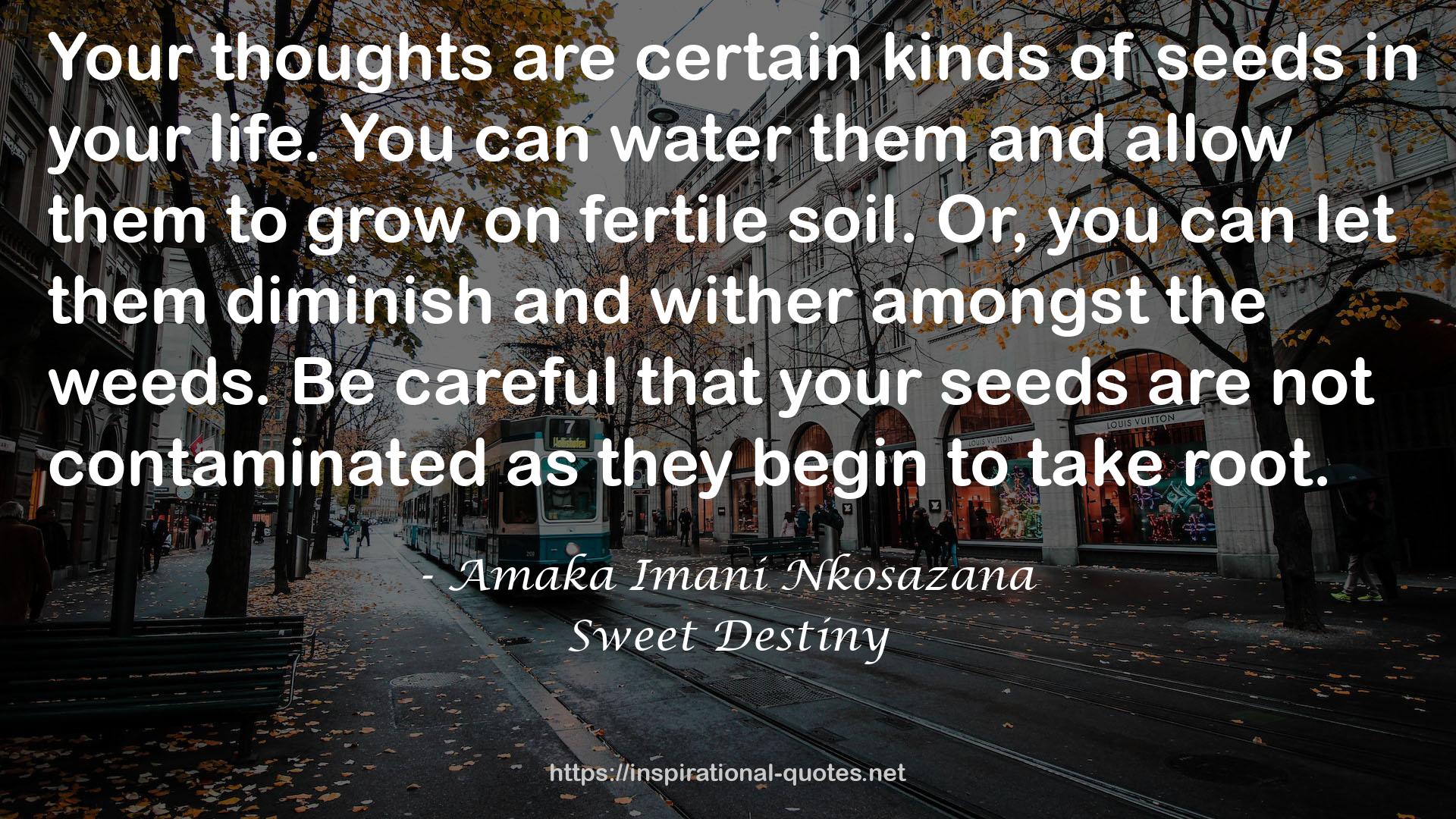 your seeds  QUOTES