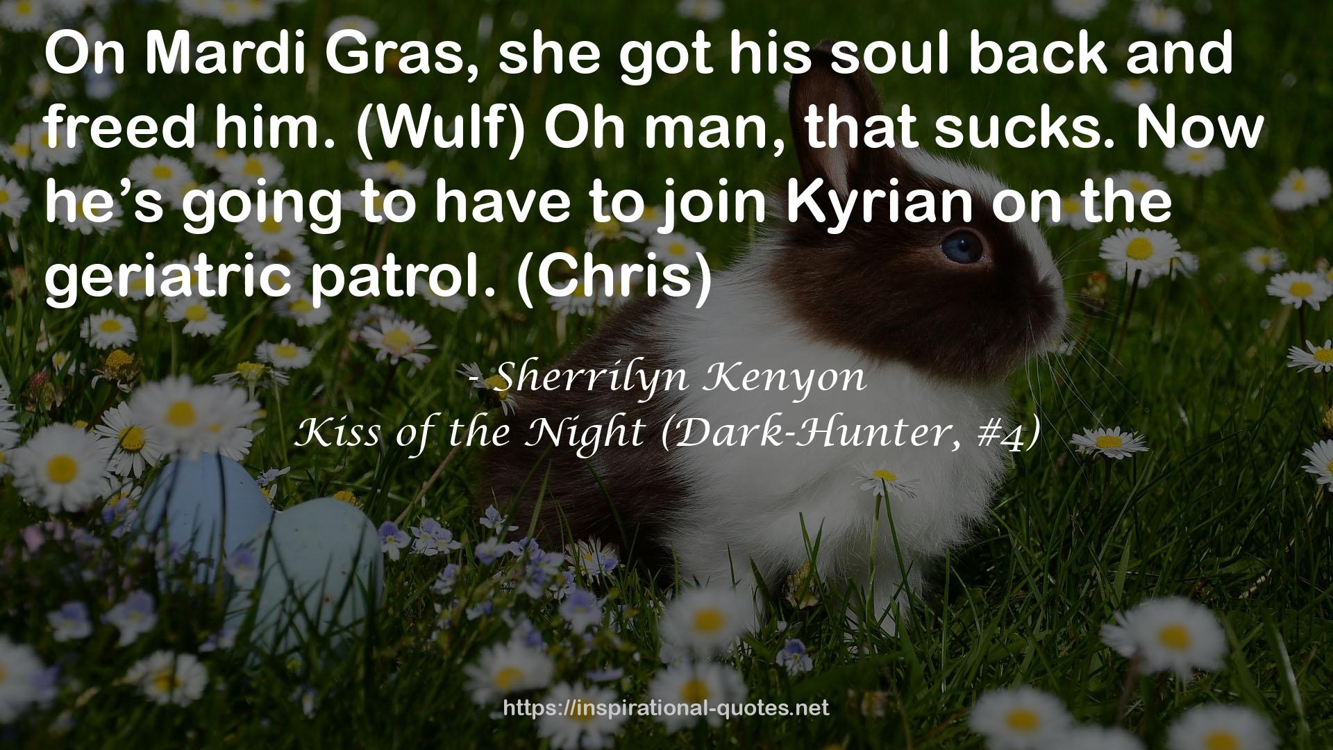 Kiss of the Night (Dark-Hunter, #4) QUOTES