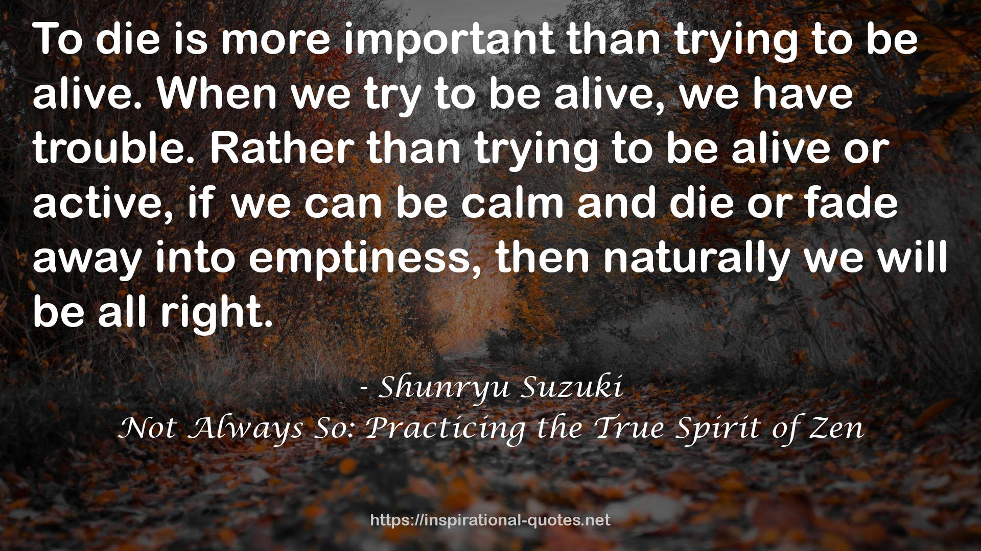 Not Always So: Practicing the True Spirit of Zen QUOTES