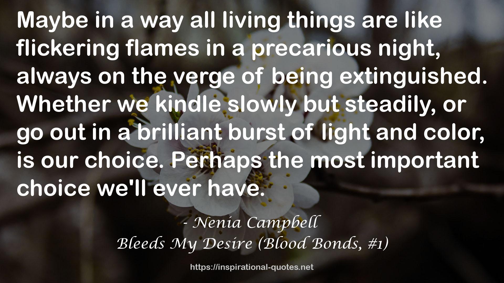 a brilliant burst  QUOTES