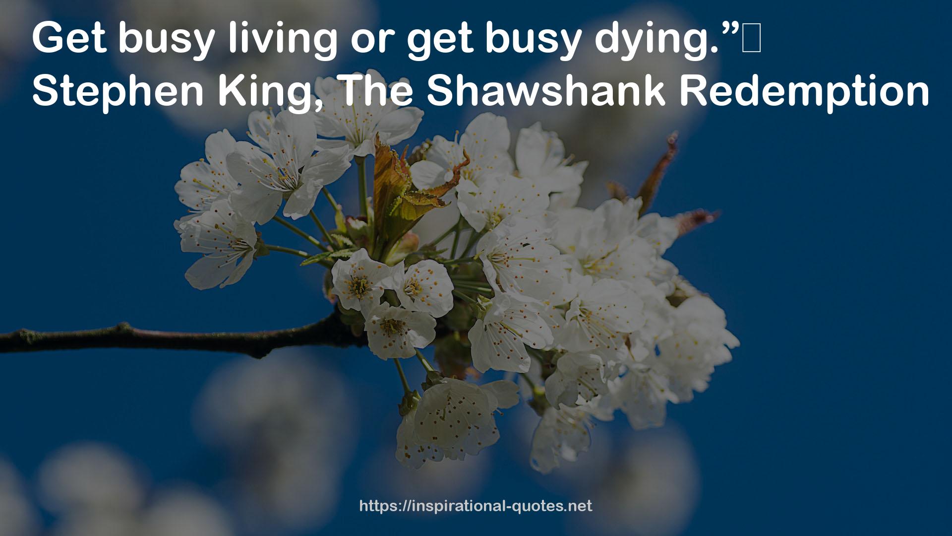 Shawshank  QUOTES