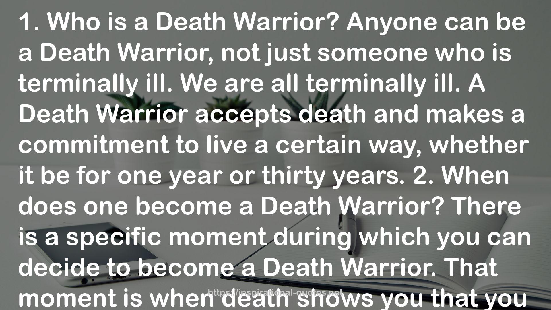 The Last Summer of the Death Warriors QUOTES