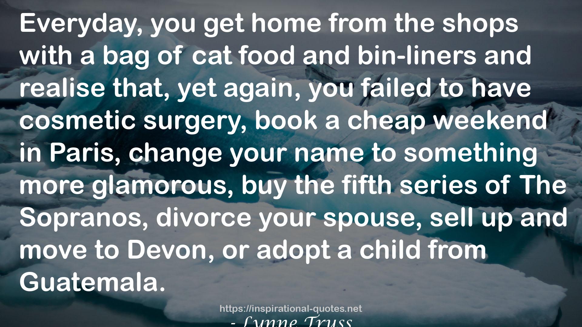 cat food  QUOTES