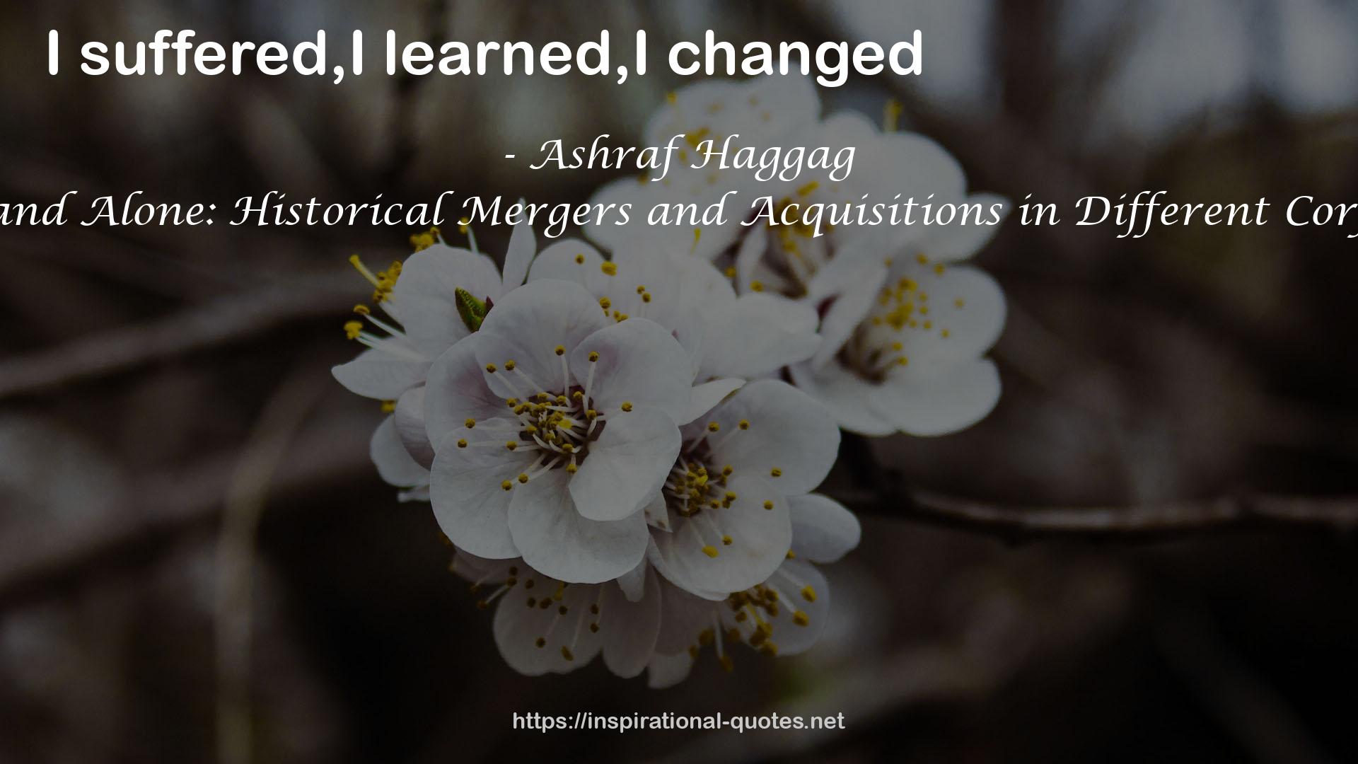 Ashraf Haggag QUOTES