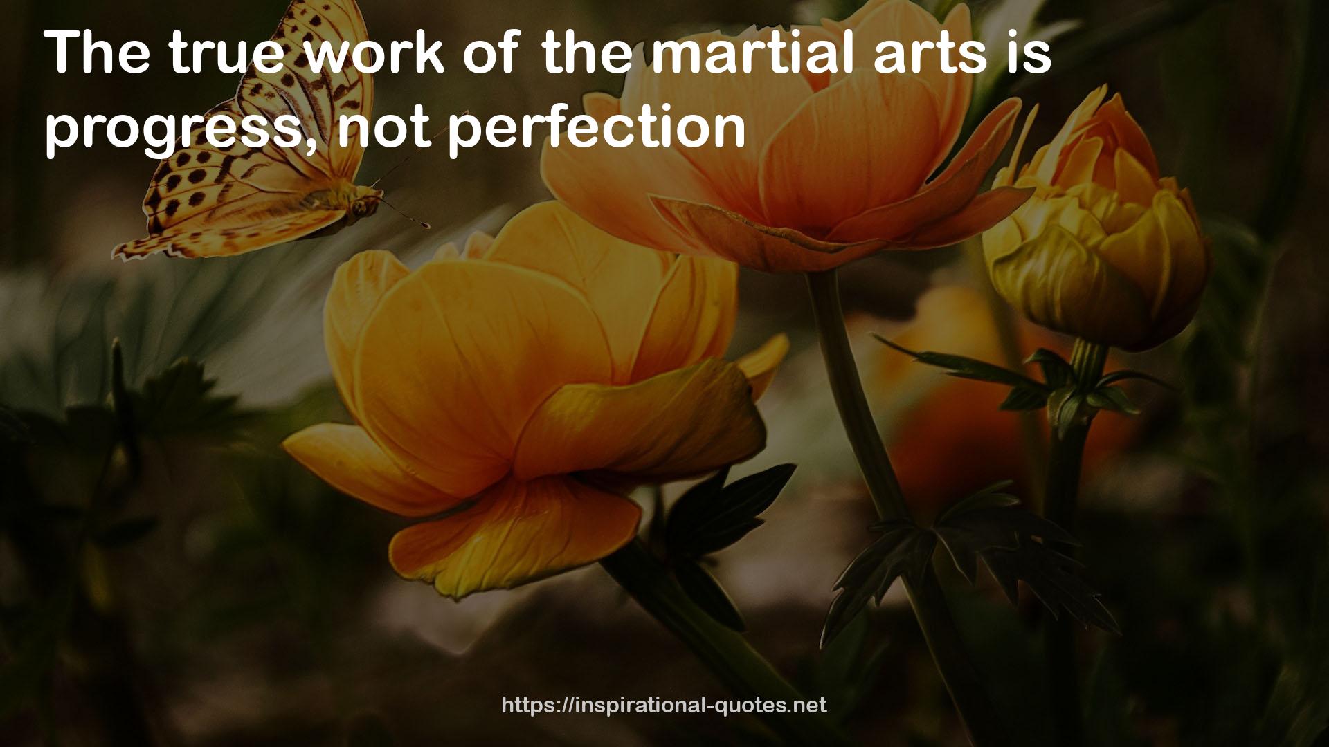the martial arts  QUOTES