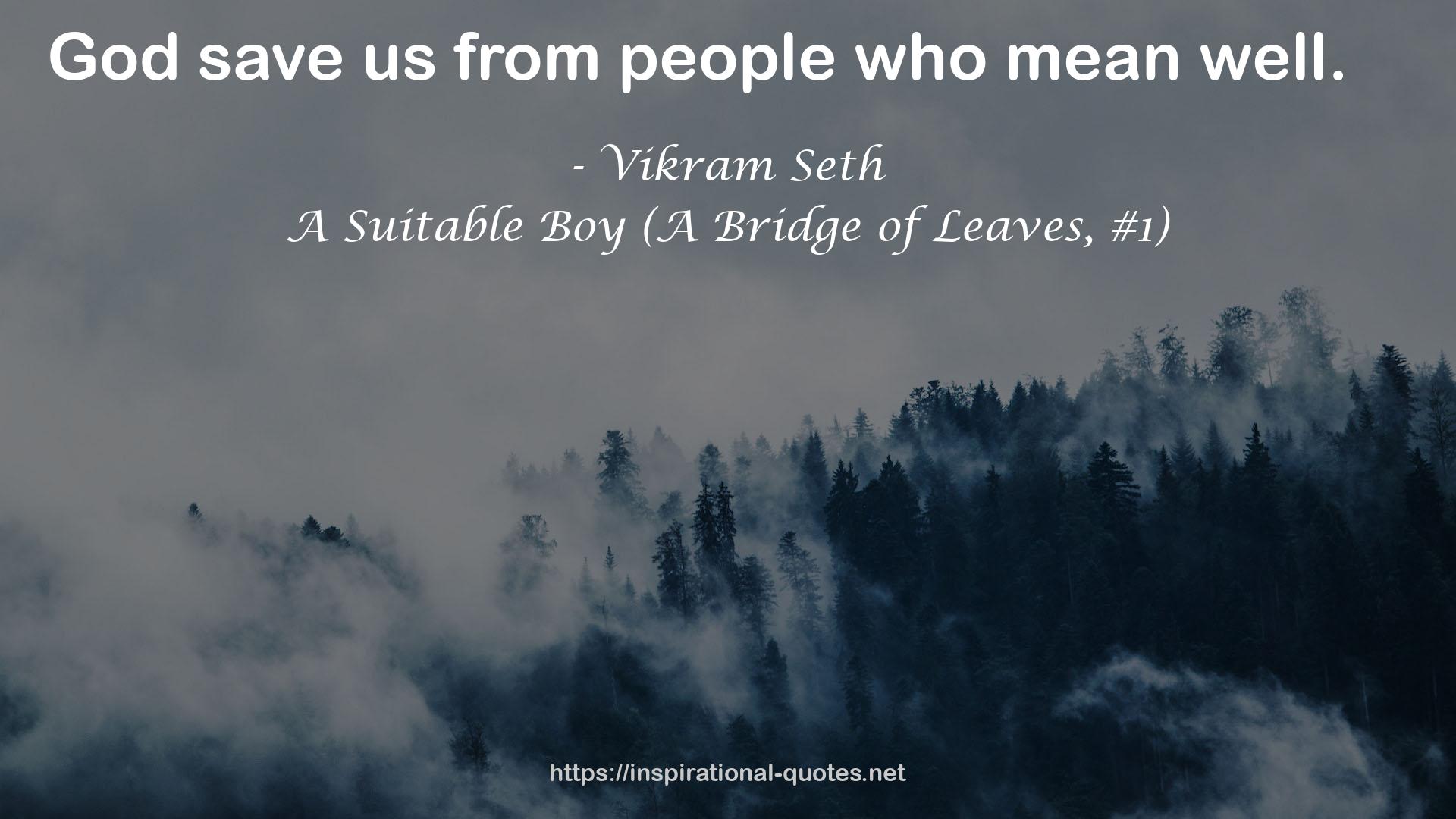 Vikram Seth QUOTES