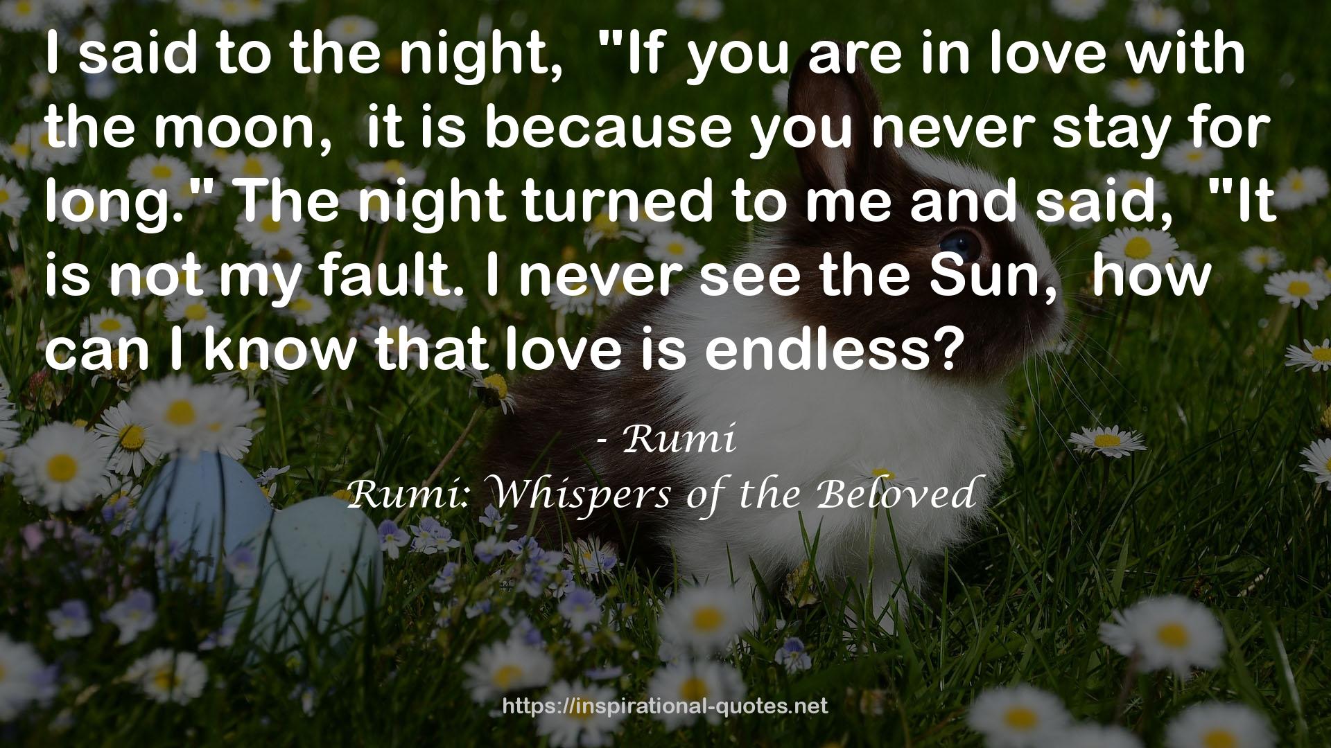 Rumi: Whispers of the Beloved QUOTES