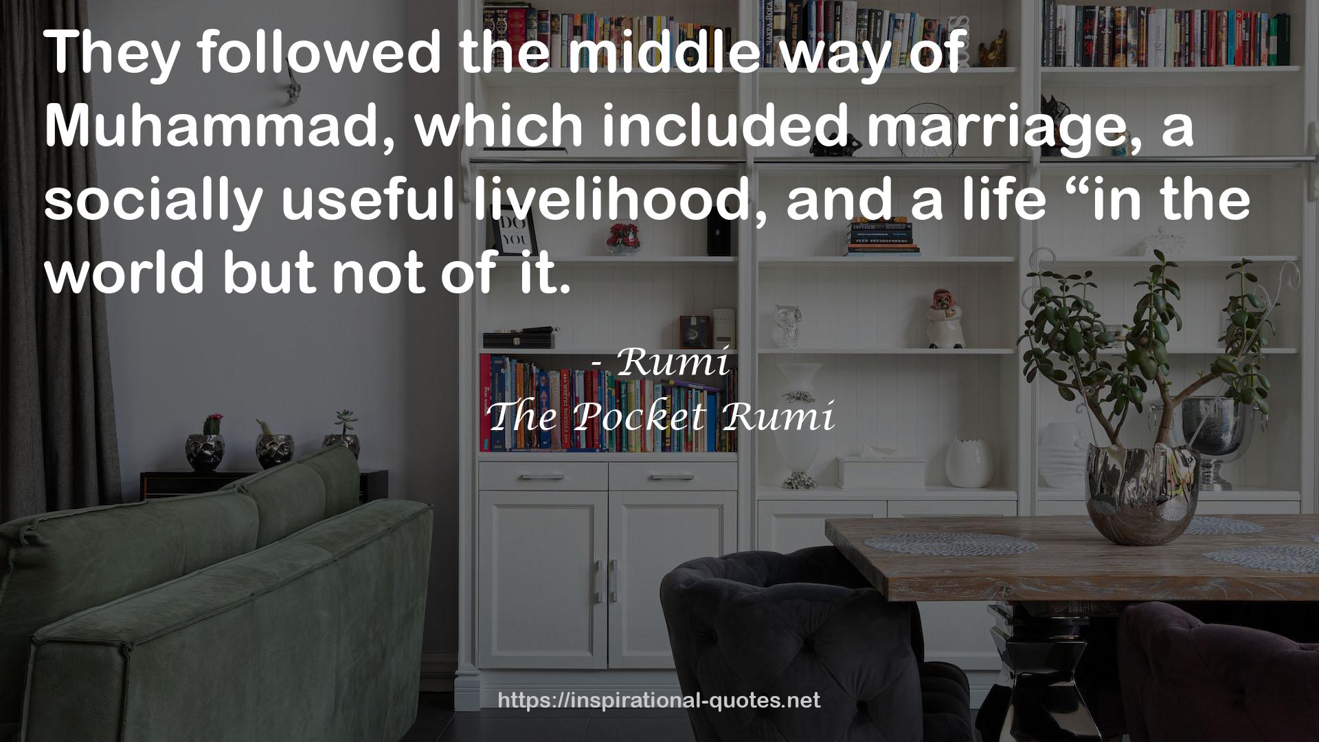 The Pocket Rumi QUOTES
