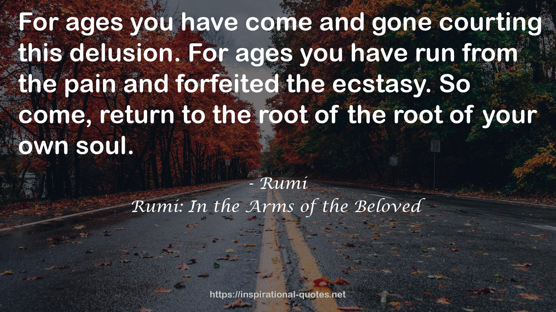 Rumi: In the Arms of the Beloved QUOTES