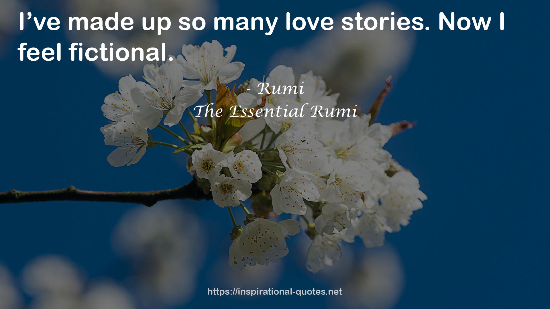 The Essential Rumi QUOTES