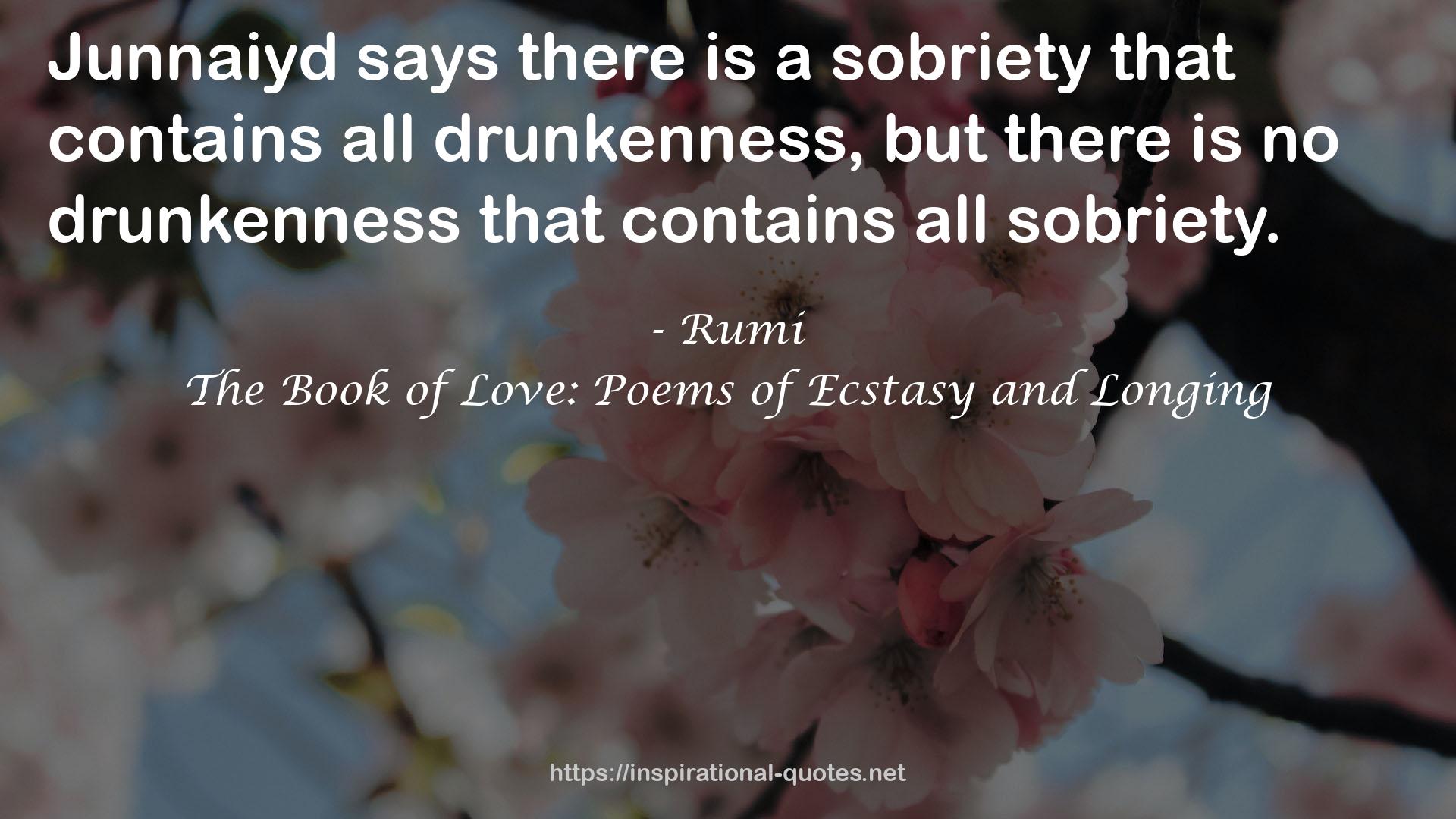 The Book of Love: Poems of Ecstasy and Longing QUOTES