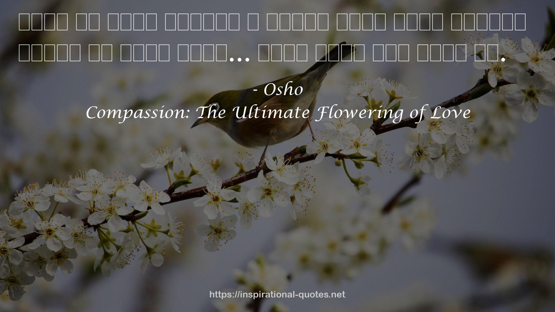 Compassion: The Ultimate Flowering of Love QUOTES