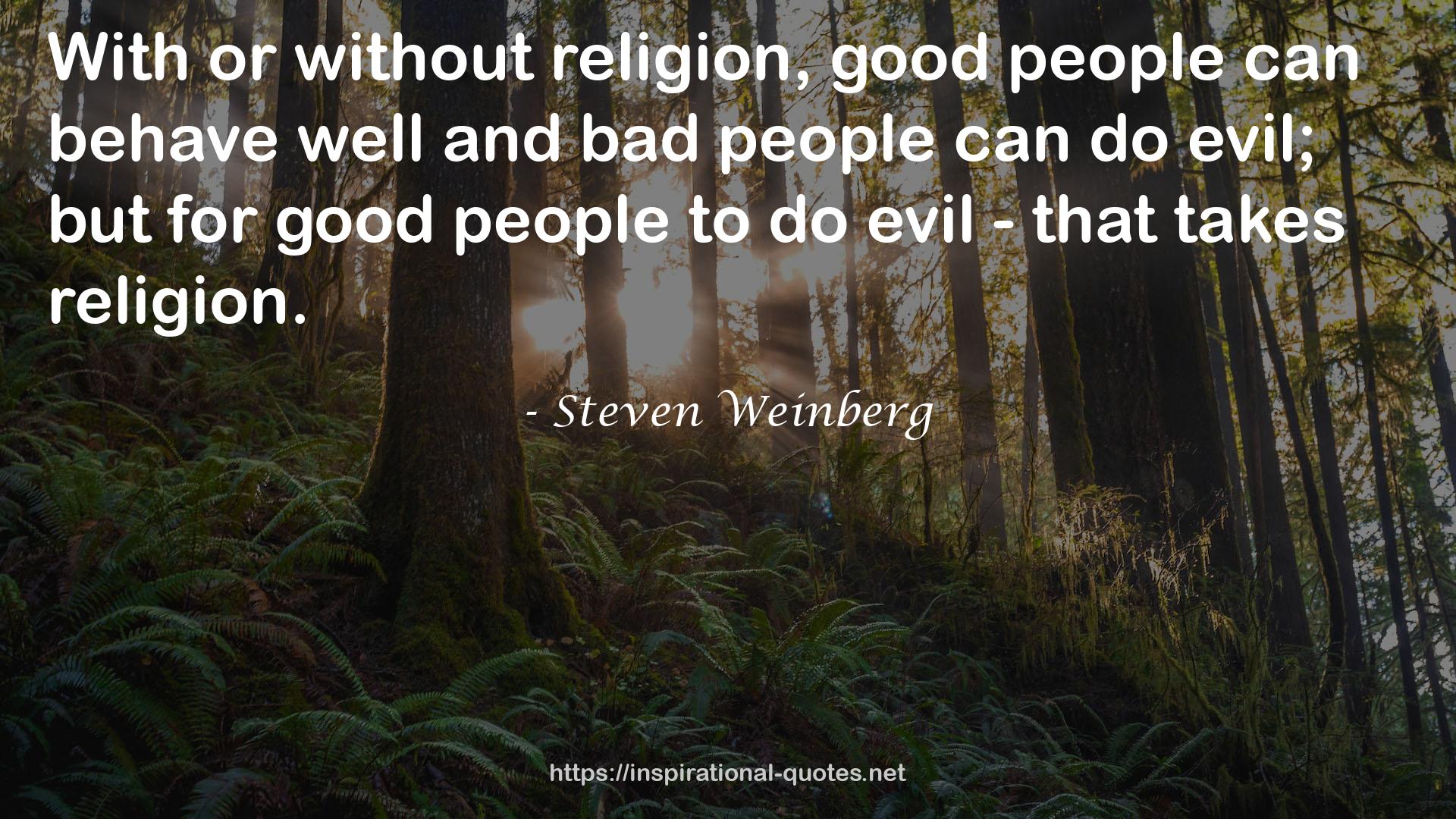 Steven Weinberg QUOTES