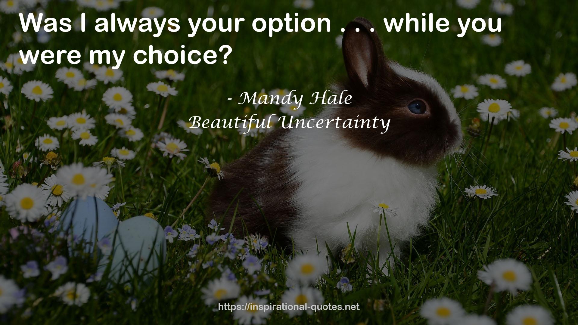 Beautiful Uncertainty QUOTES