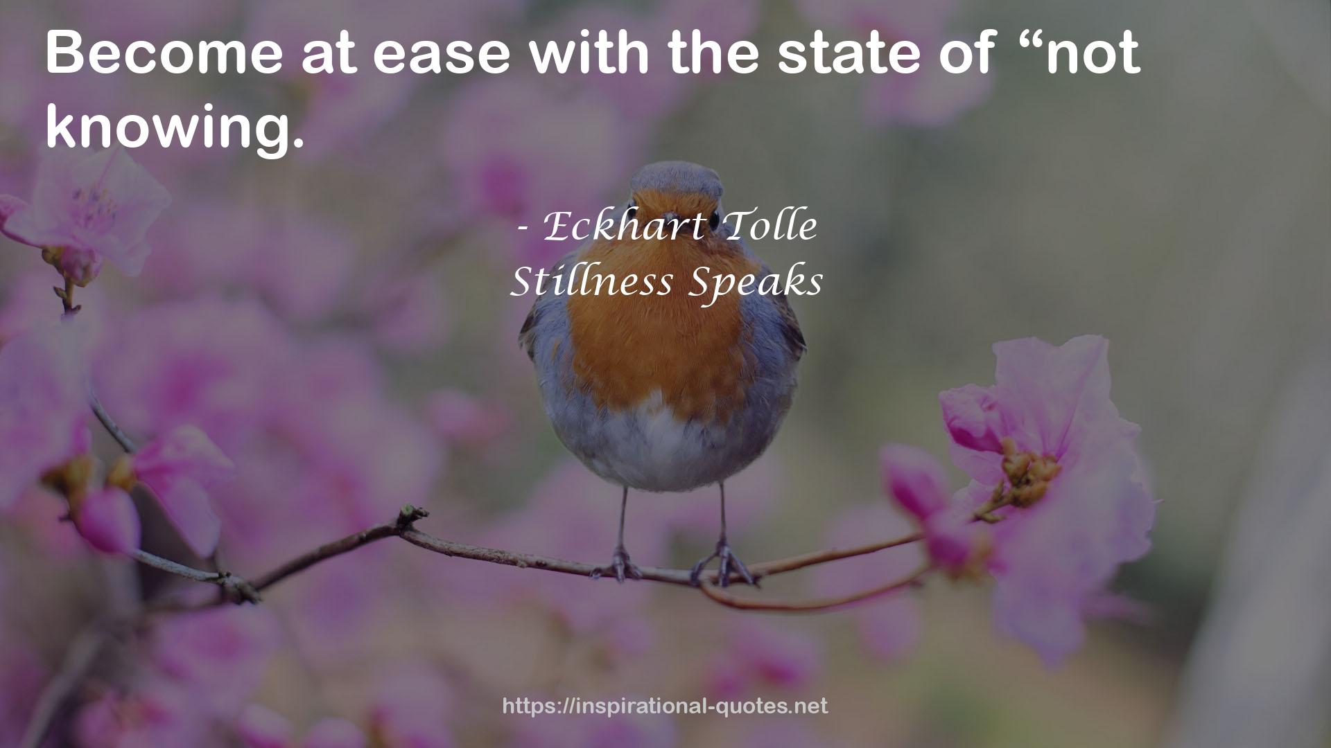 Stillness Speaks QUOTES