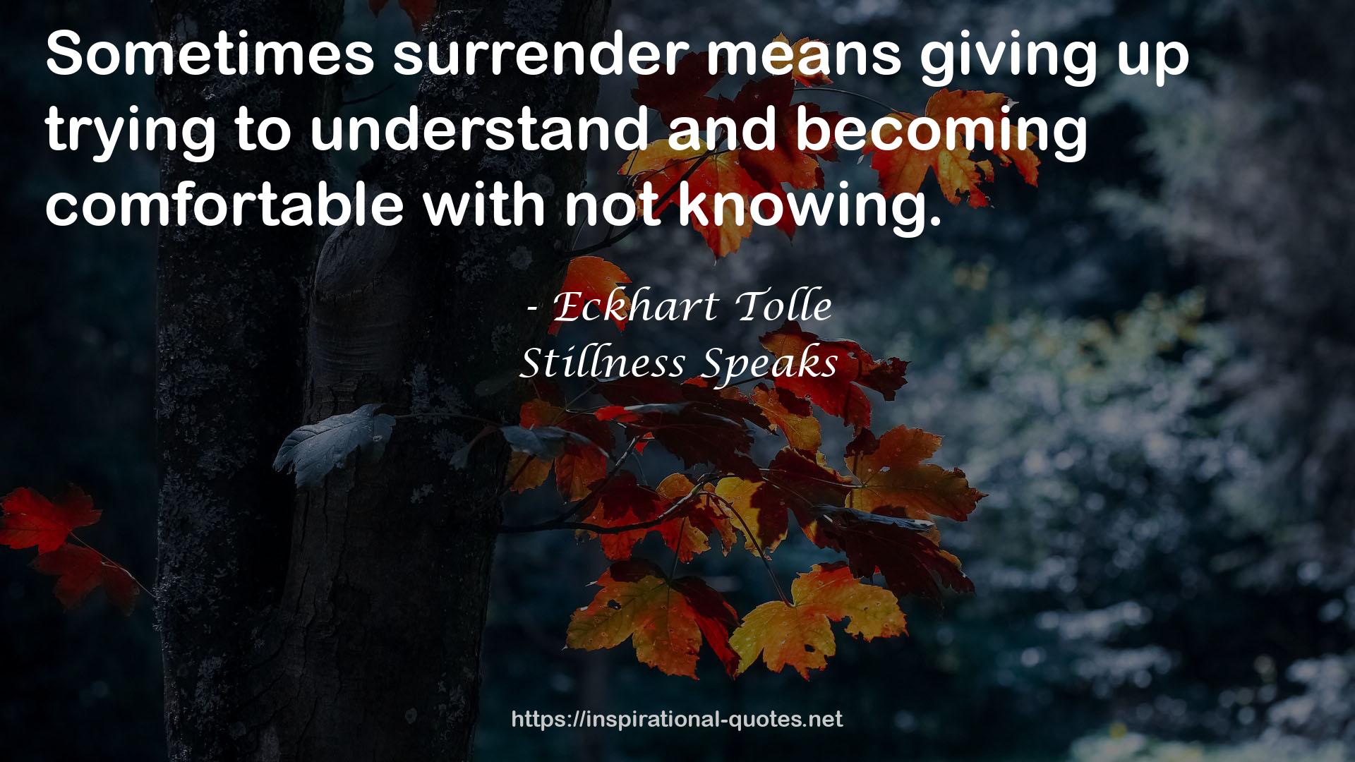 Stillness Speaks QUOTES