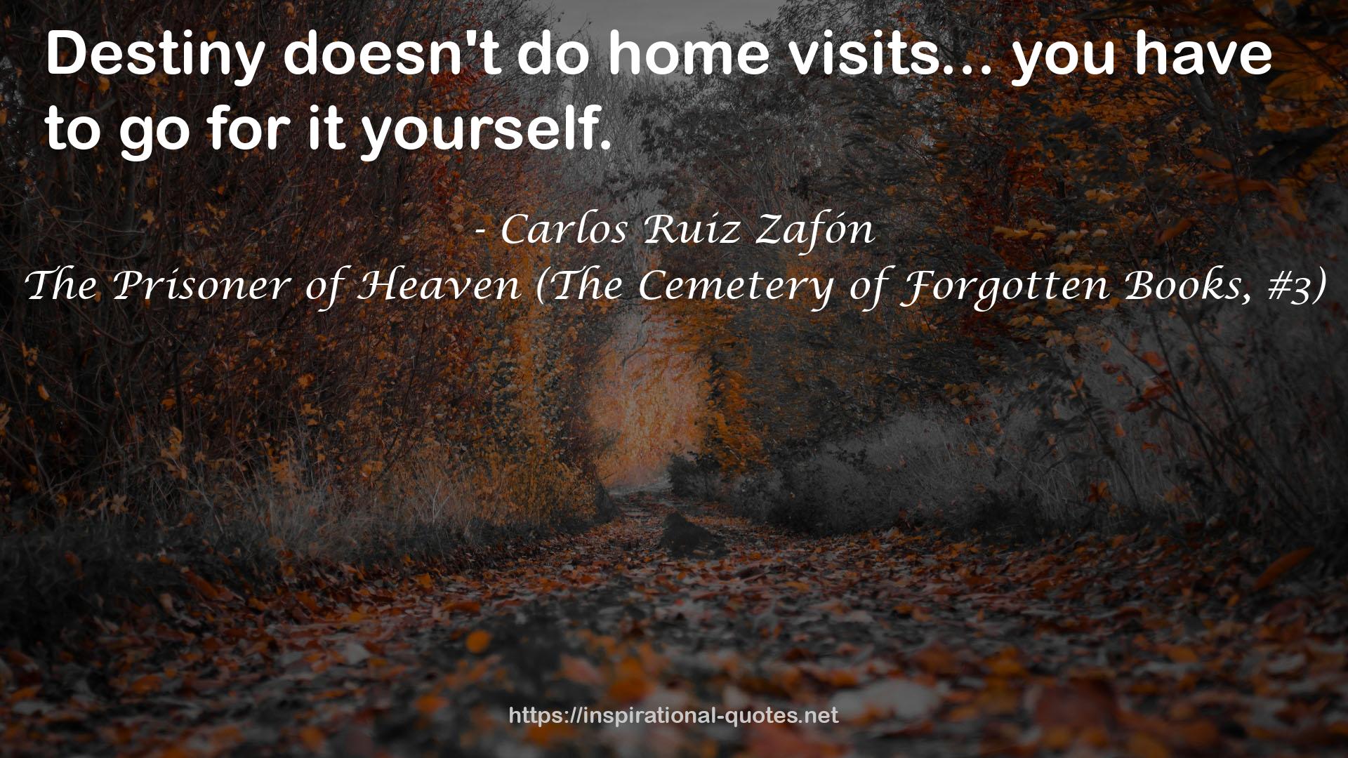 The Prisoner of Heaven (The Cemetery of Forgotten Books, #3) QUOTES