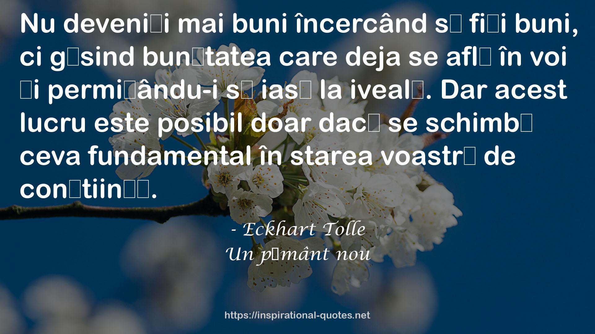 Un pământ nou QUOTES