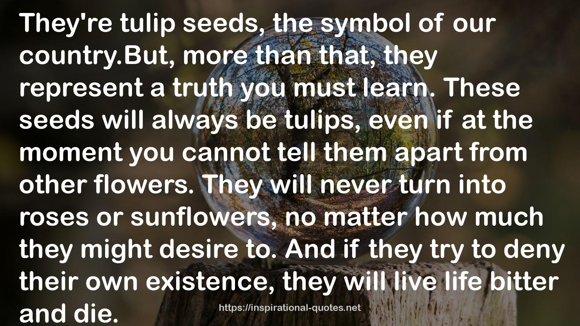 these seeds  QUOTES